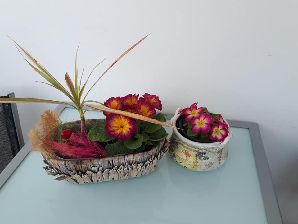 Apartment - Photo 49