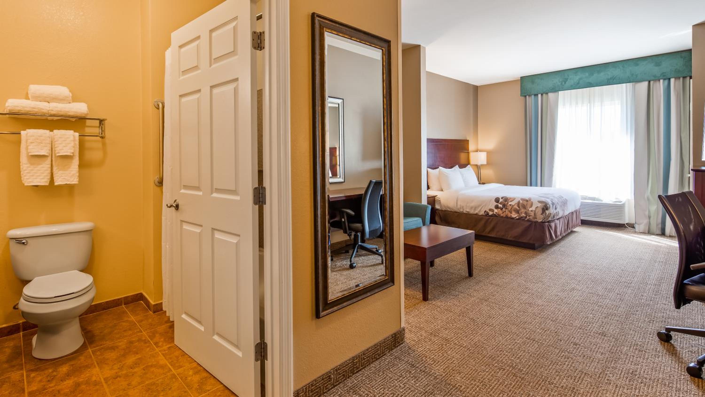 King Suite - Pet-Friendly photo 3