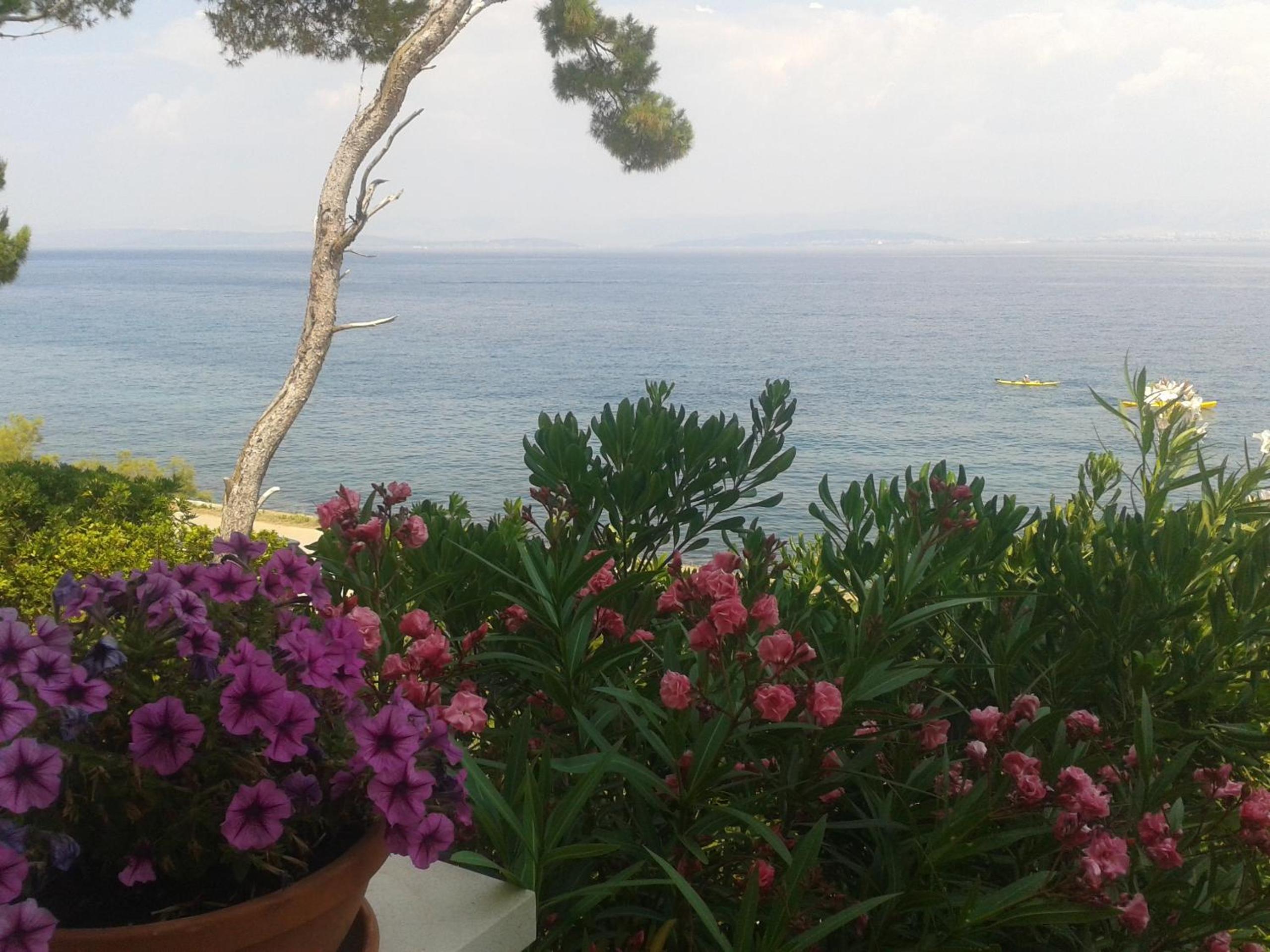 Two-Bedroom Apartment with Terrace and Sea View (4 Adults)