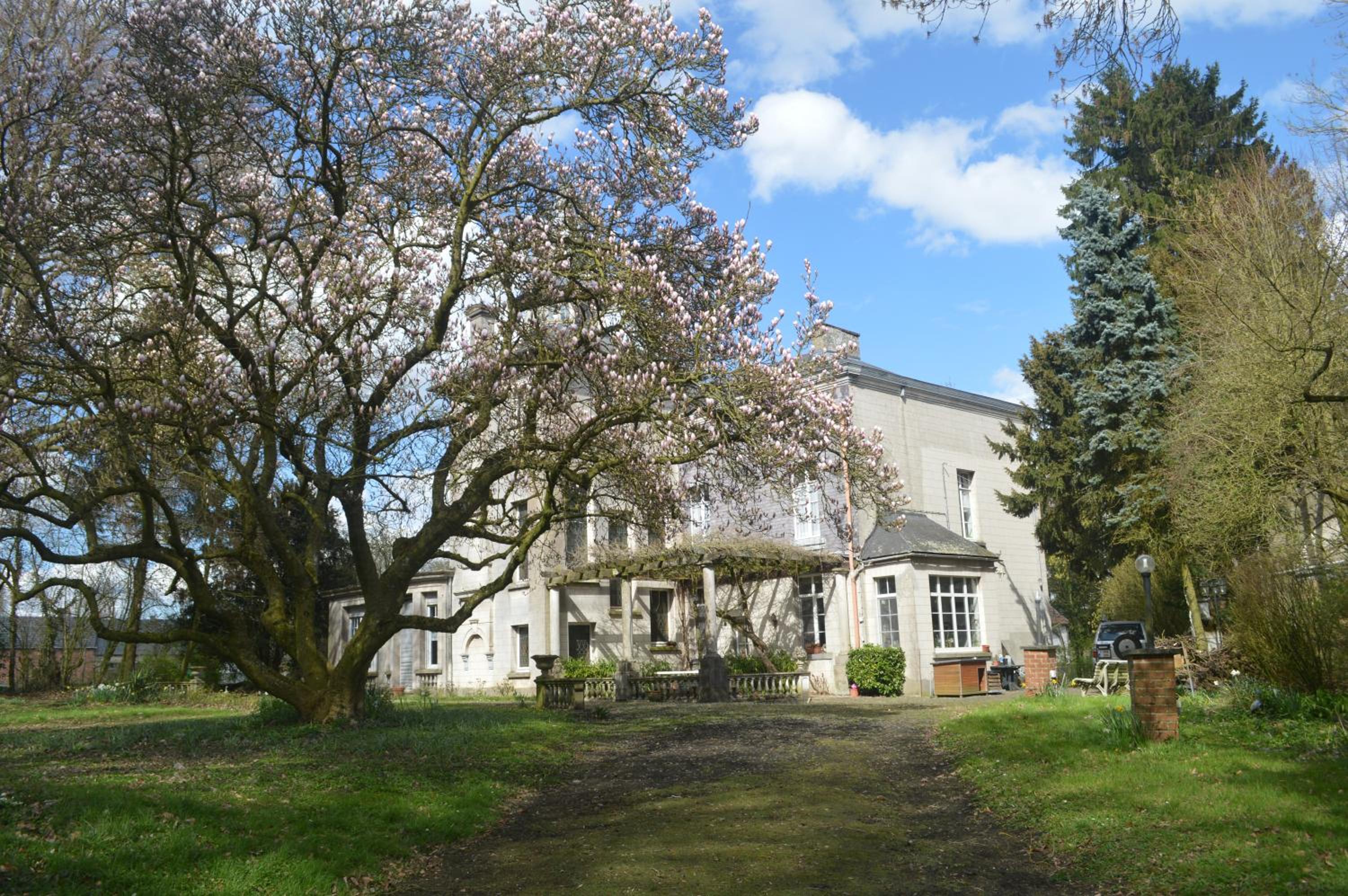 Queen Room with Garden View photo 3
