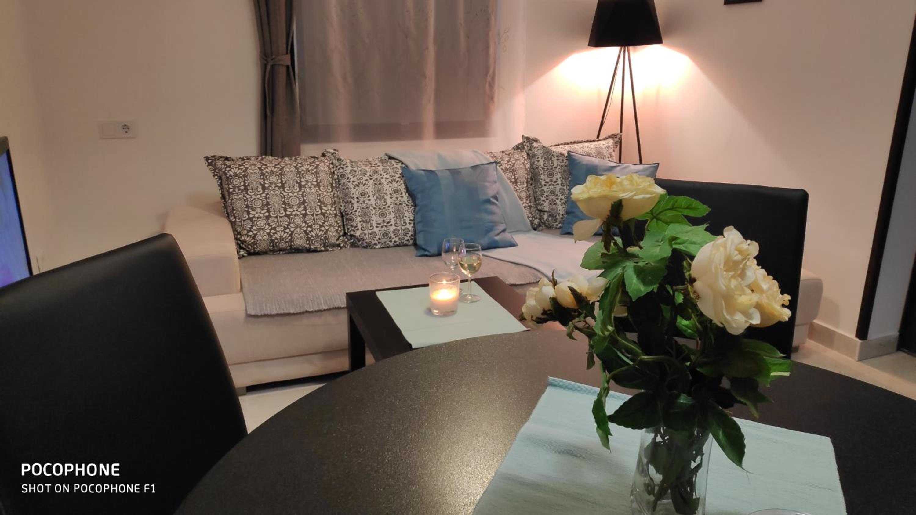 Studio Apartment photo 1