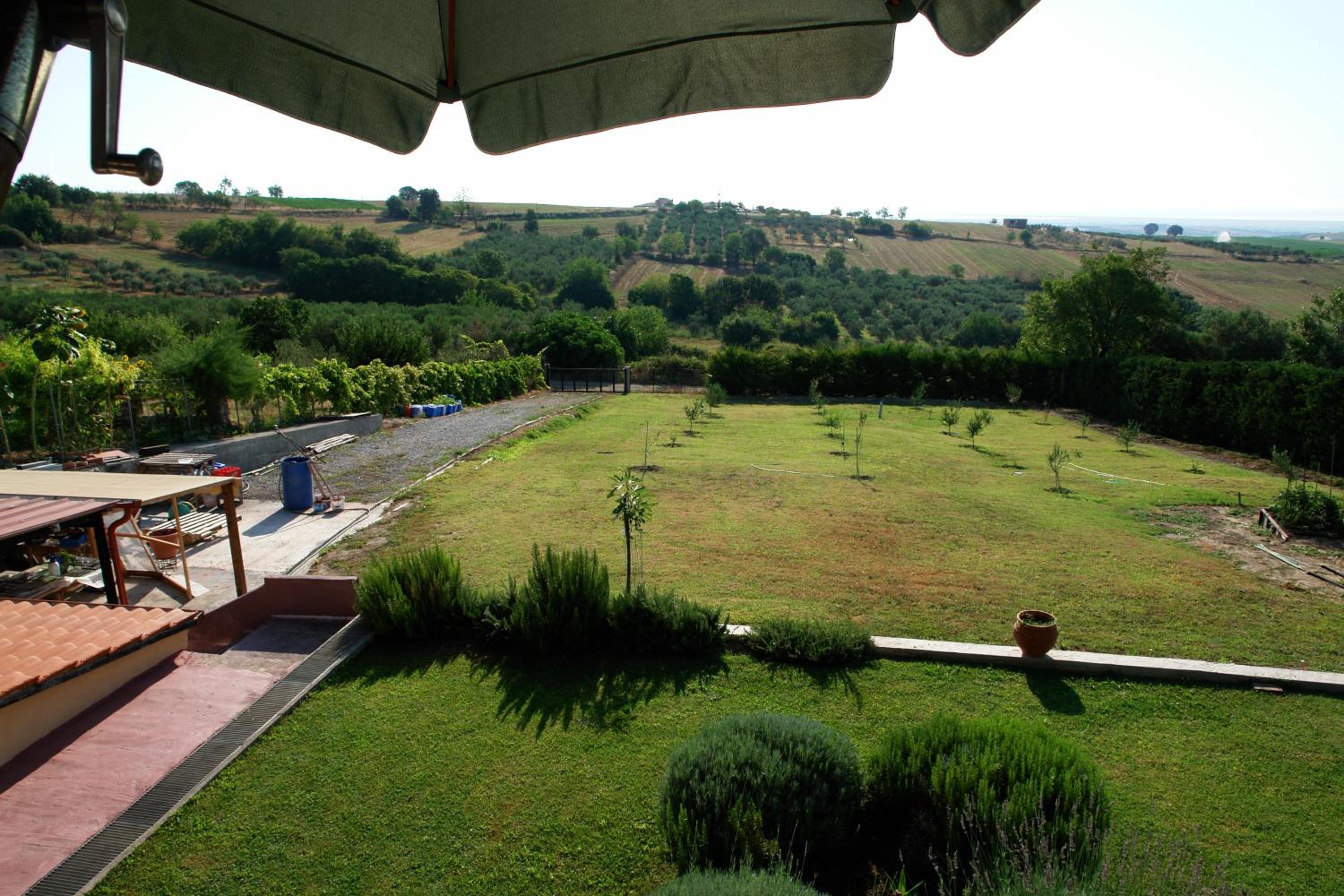 Studio with Sea View photo 2