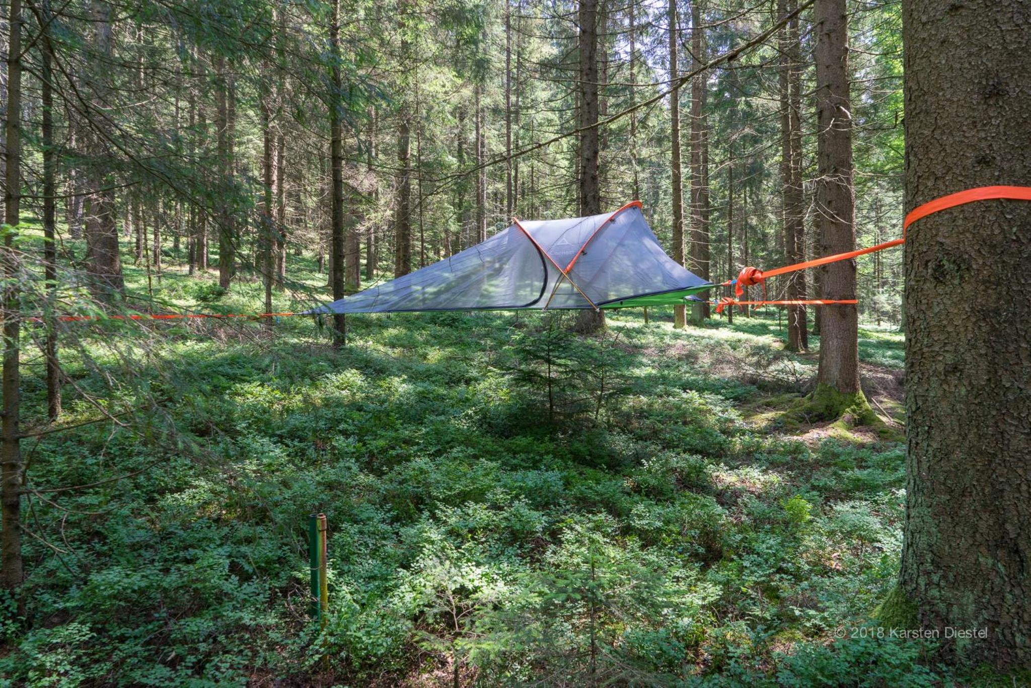 Tent - Photo 4