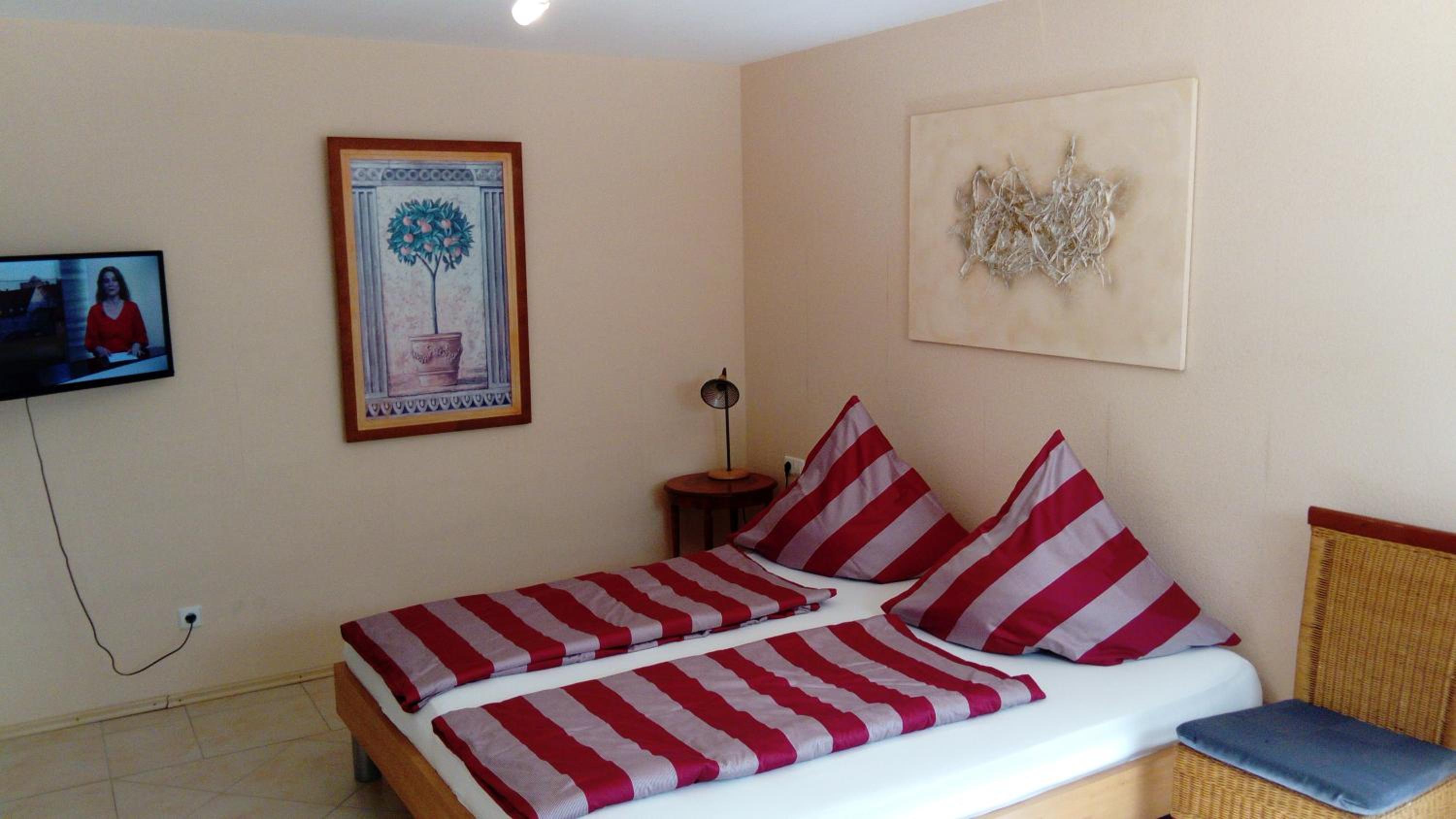 Apartment with Terrace photo 3