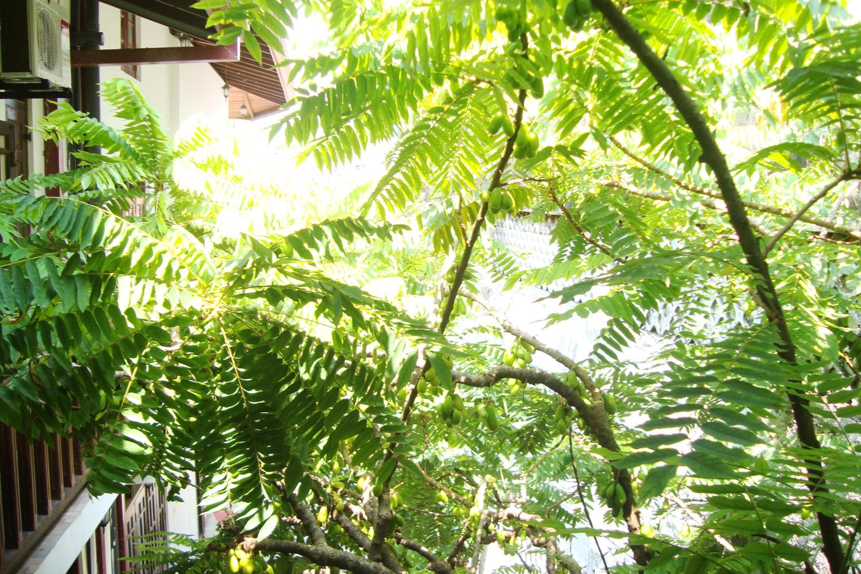 Double Room with Balcony photo 3