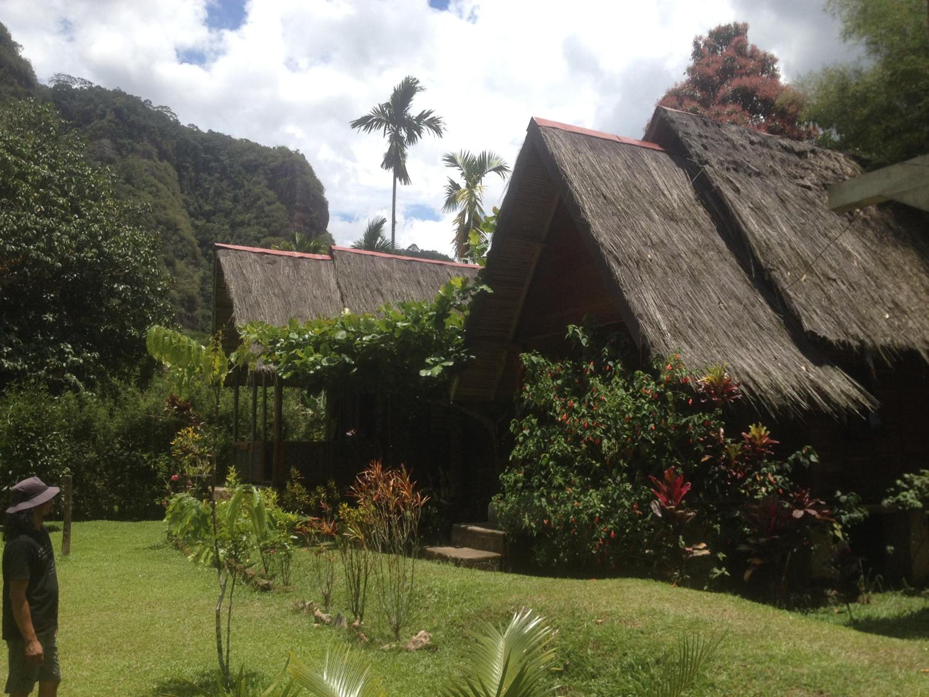 Deluxe Double or Twin Room with Garden View - Photo 8