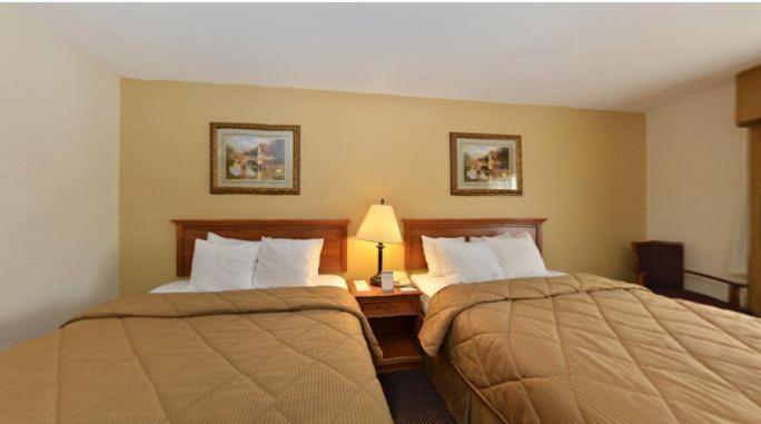 Queen Room with Two Queen Beds - Photo 4