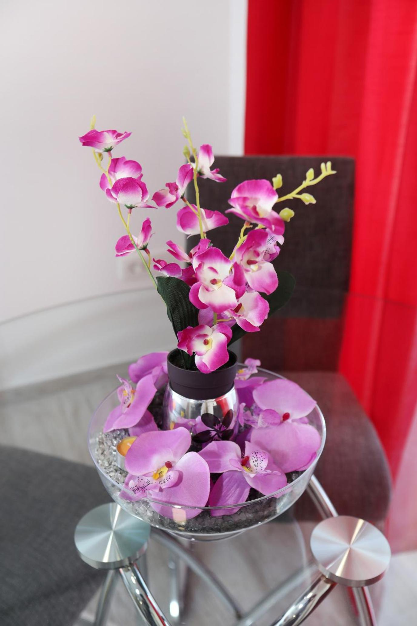 Apartment - Photo 11