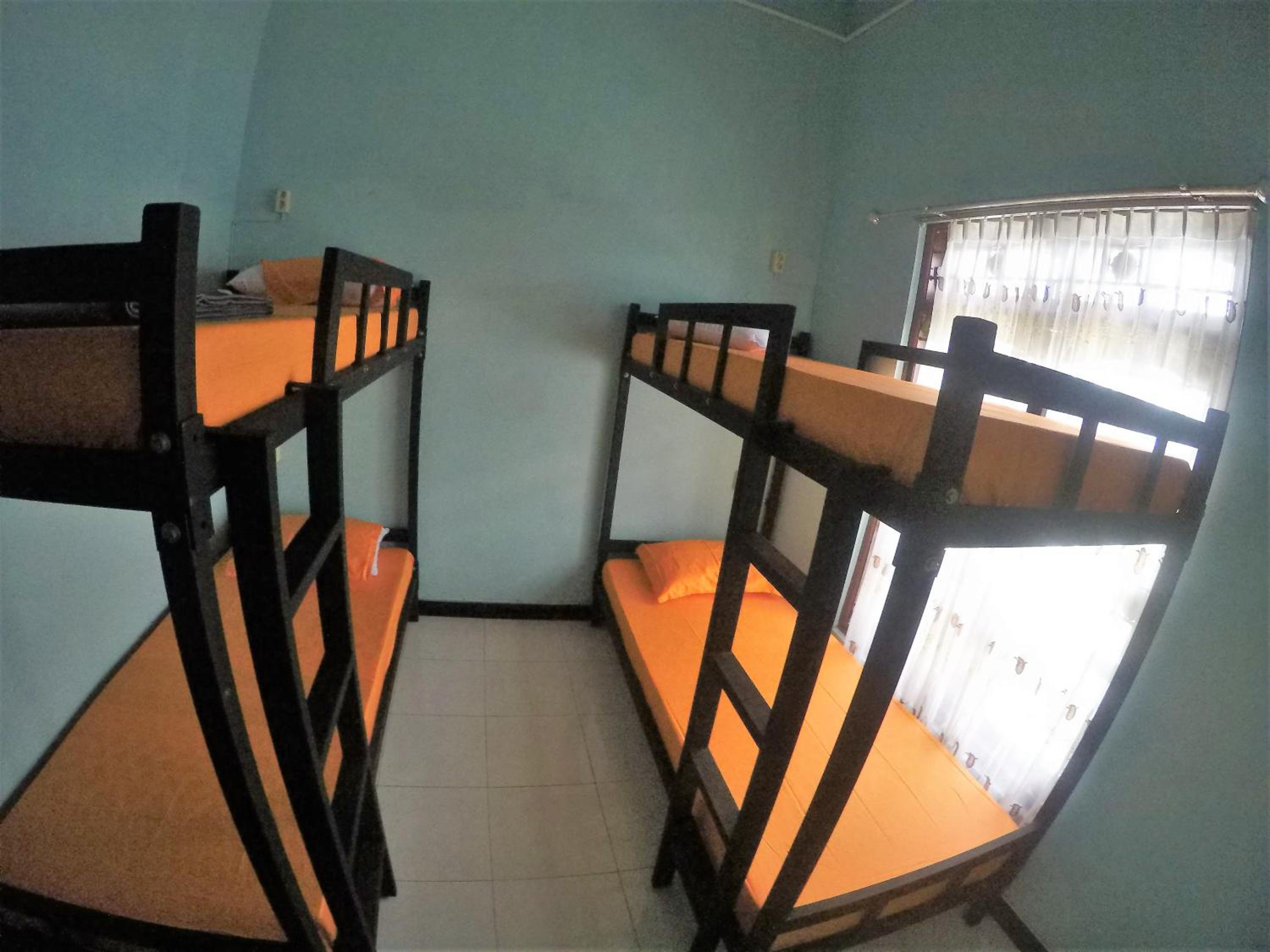 Bed in 4-Bed Dormitory Room photo 3