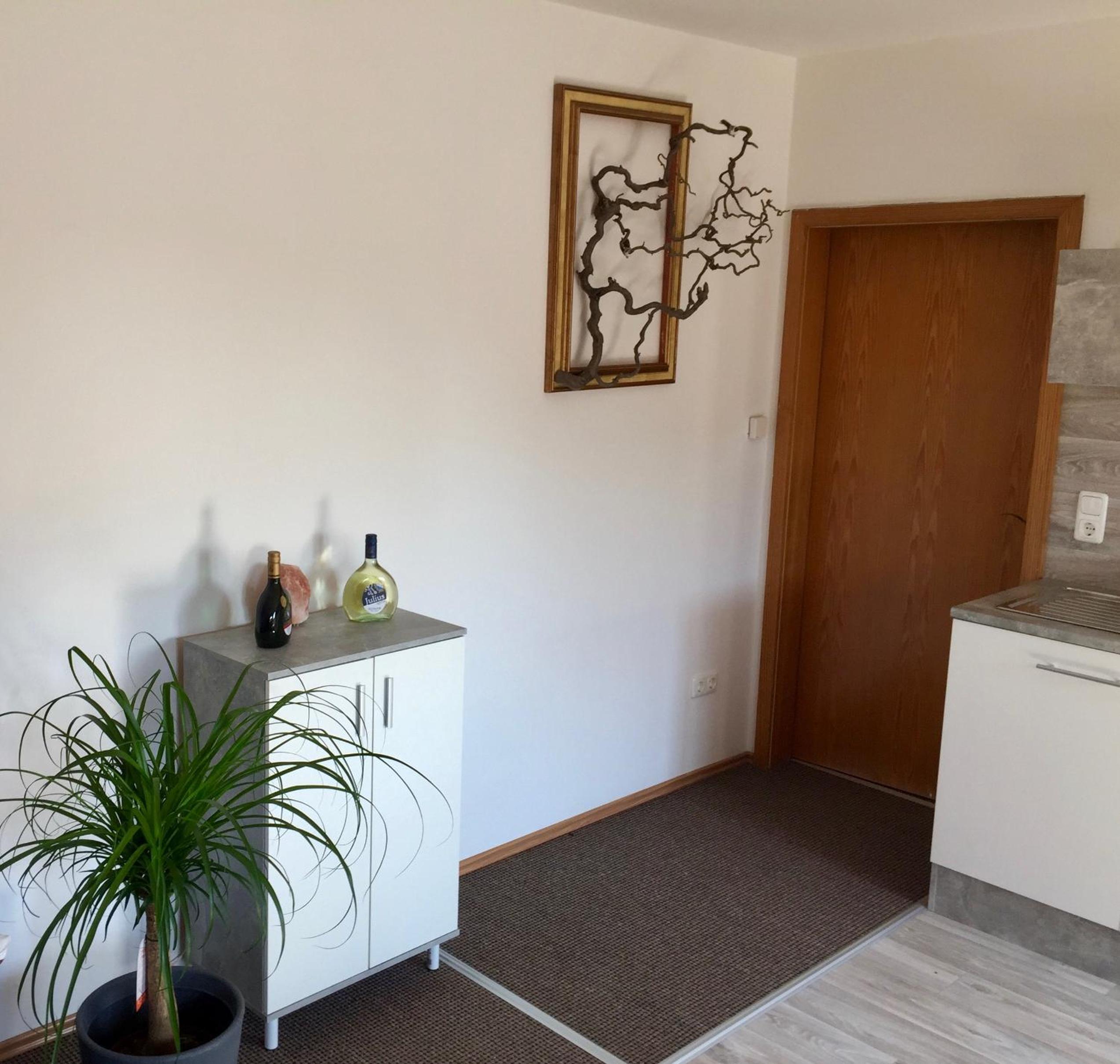 One-Bedroom Apartment photo 3
