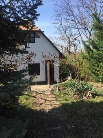 Four-Bedroom House - Photo 4