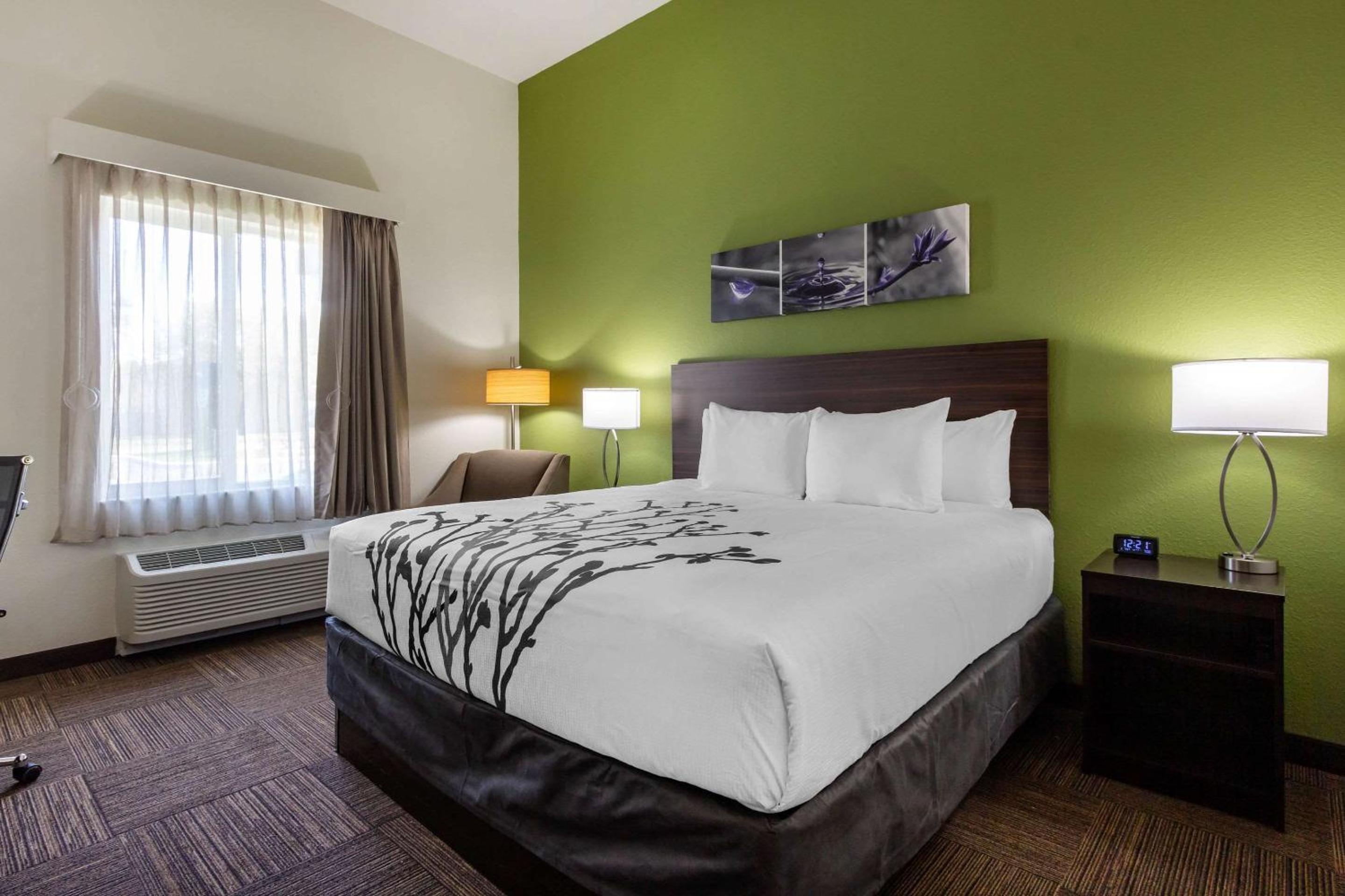 King Room - Accessible/Non-Smoking - Photo 2