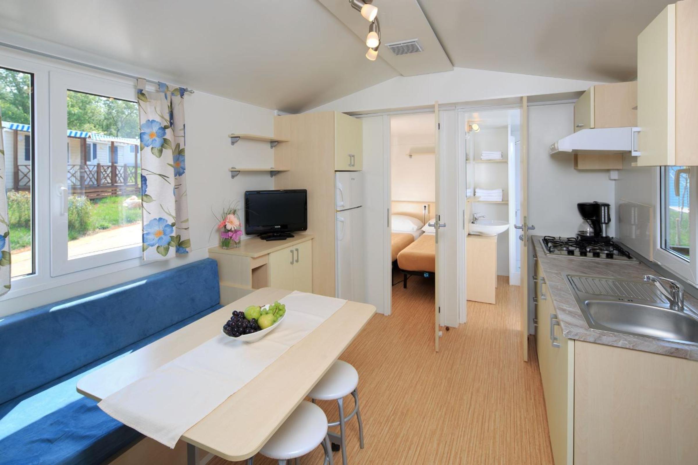 Classic Mobile Home photo 1