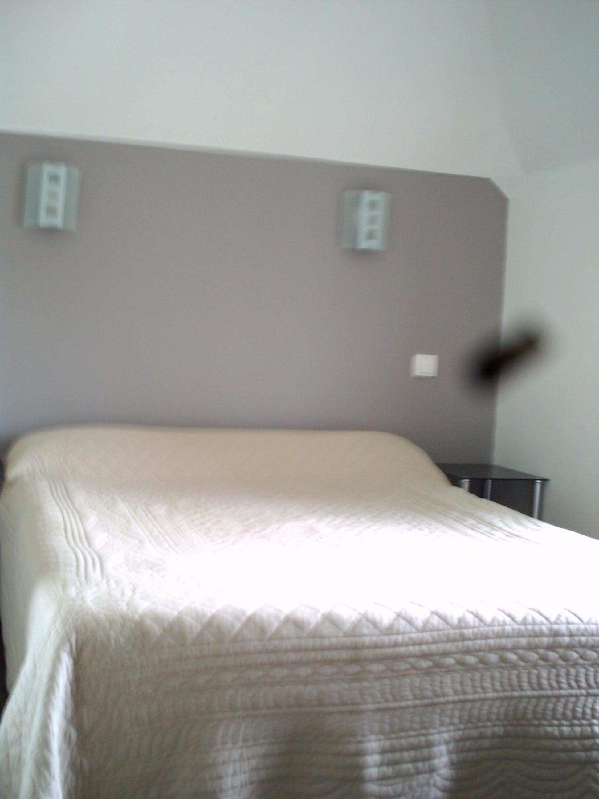 Suite - Photo 4