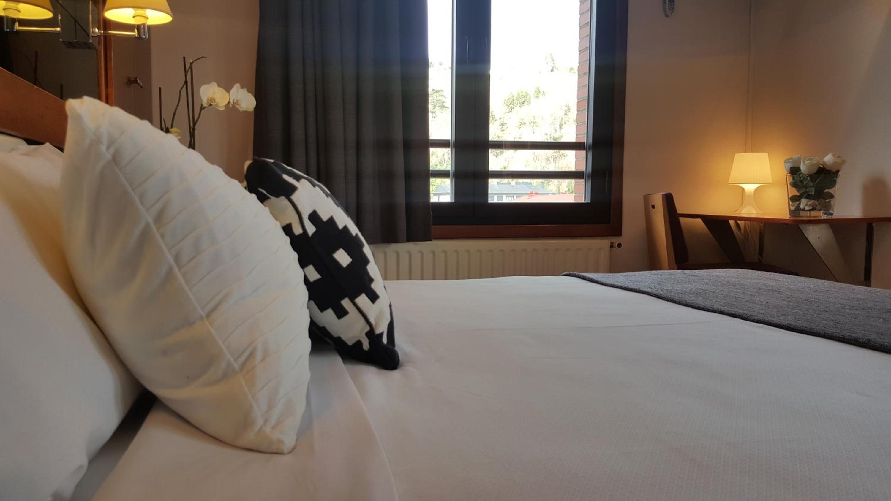 Double Room with Mountain View photo 2