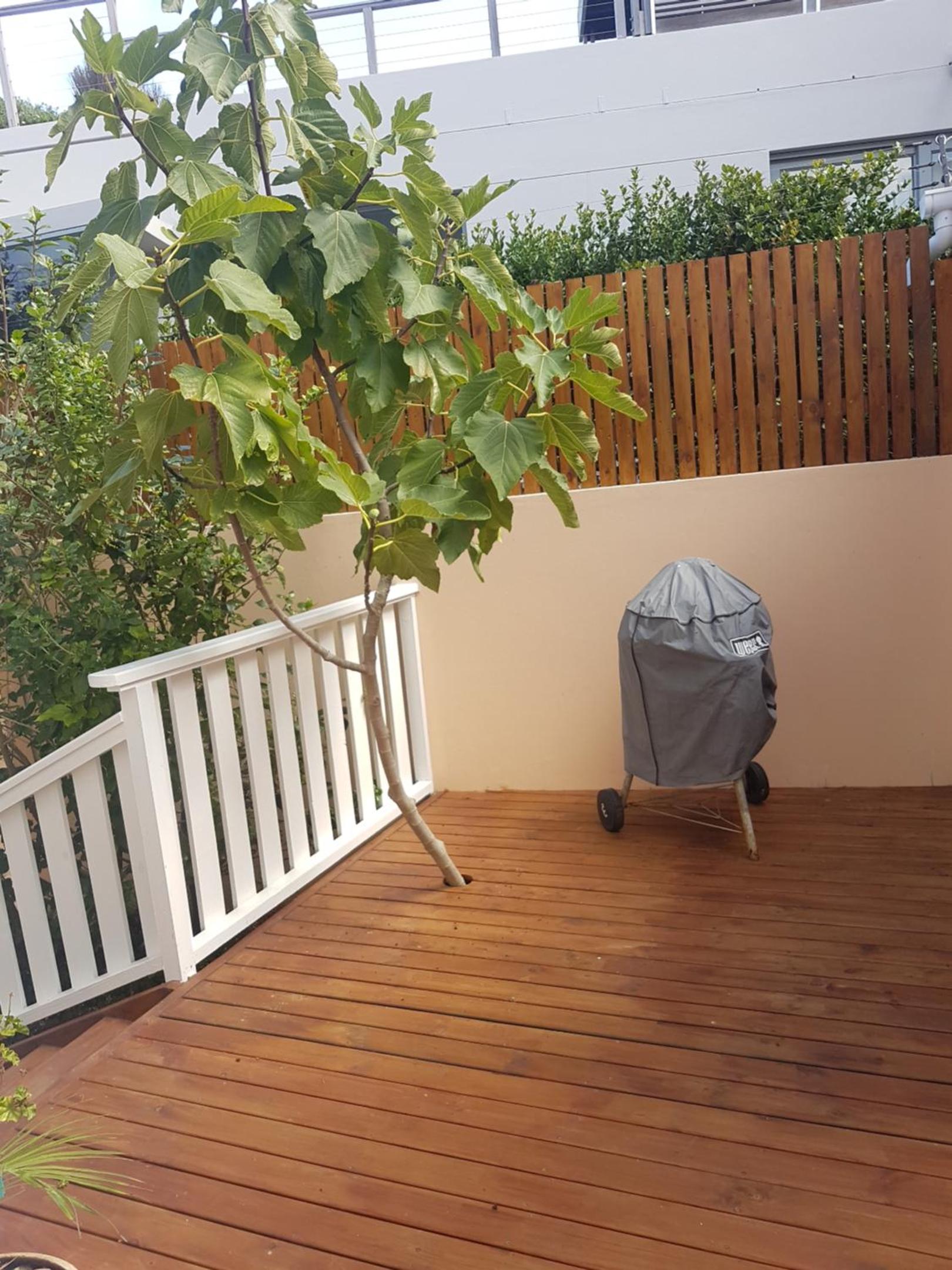 Queen Room with Garden View photo 3