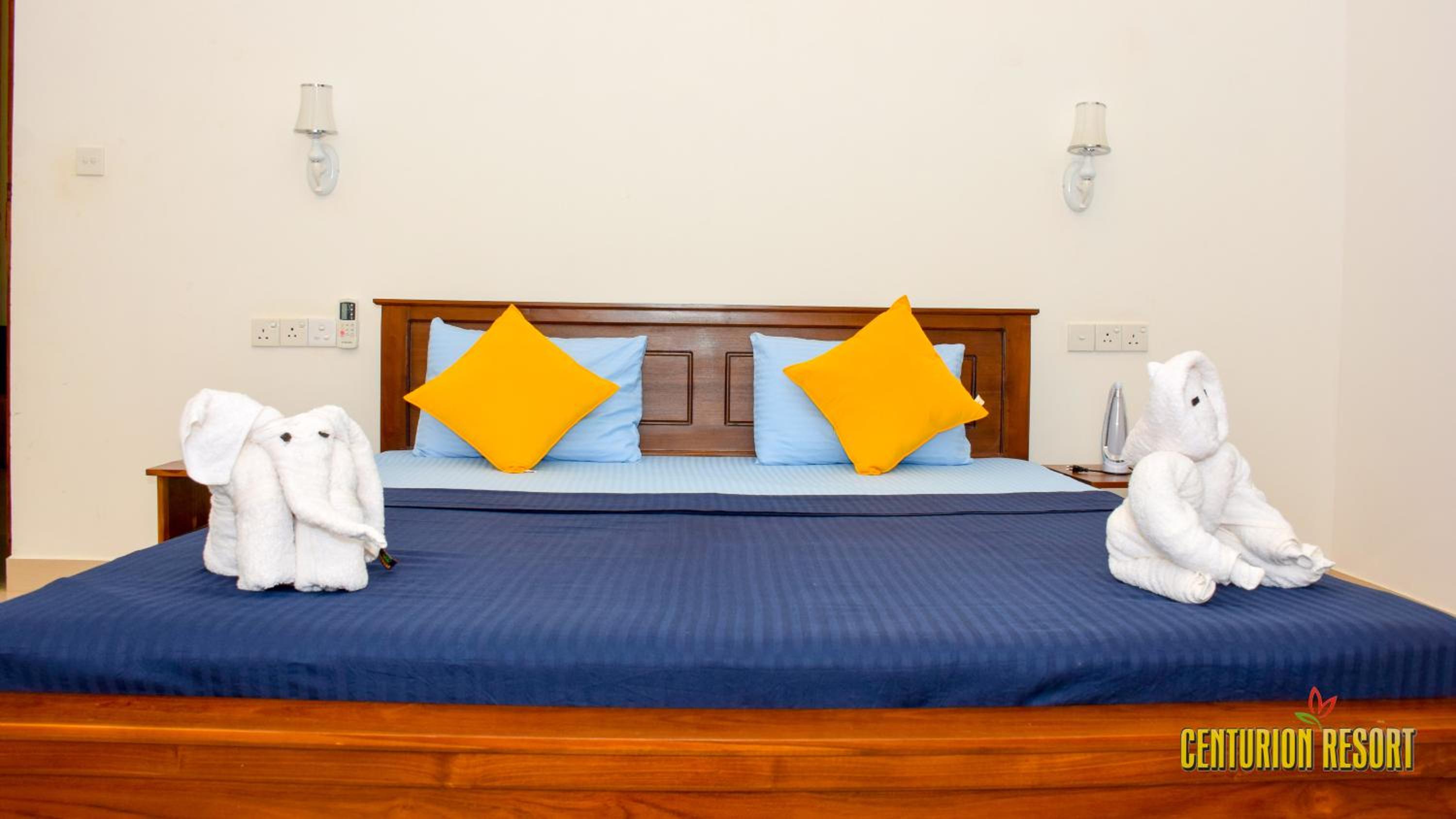 Deluxe Double Room photo 3