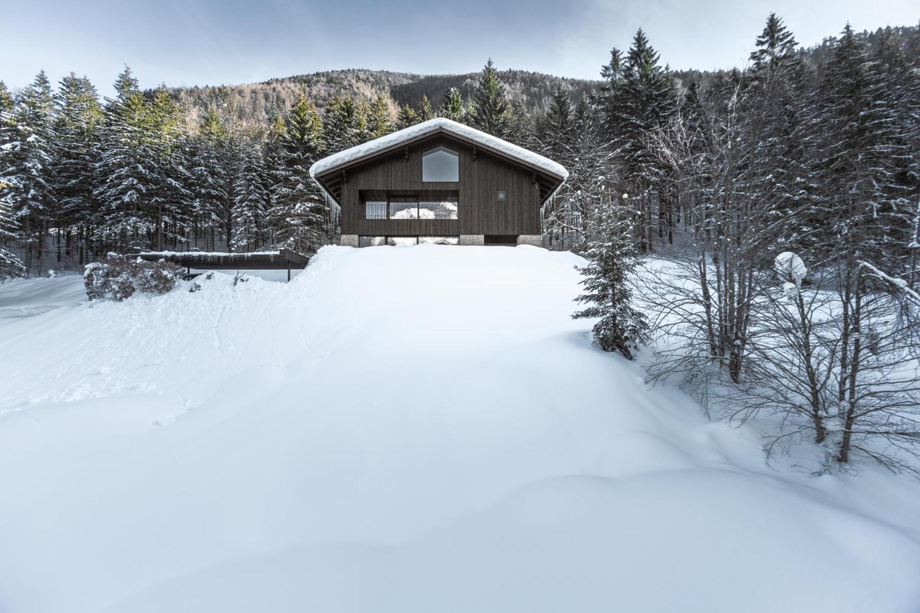 Superior Apartment With Sauna photo 2