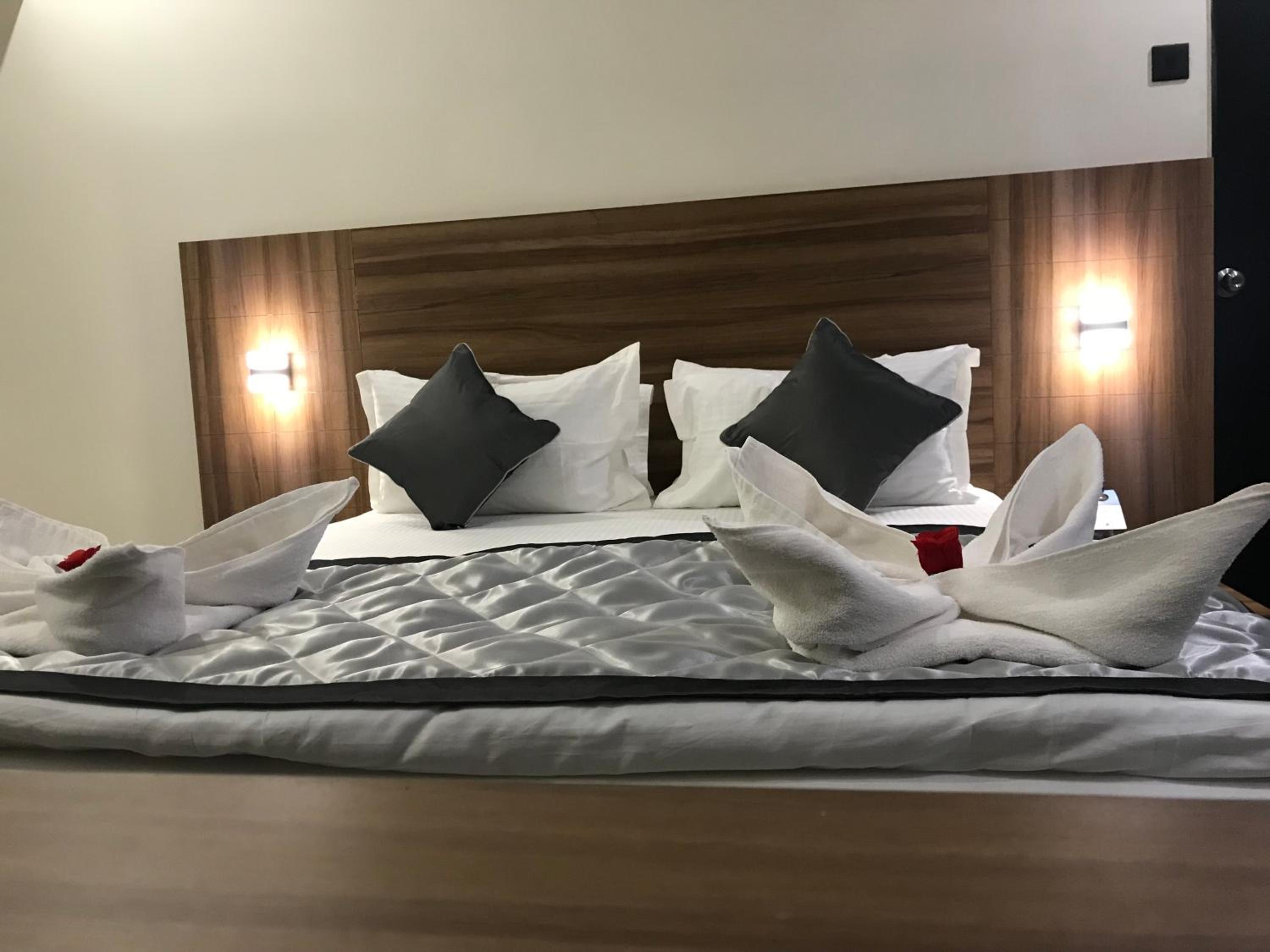Suite - Photo 1