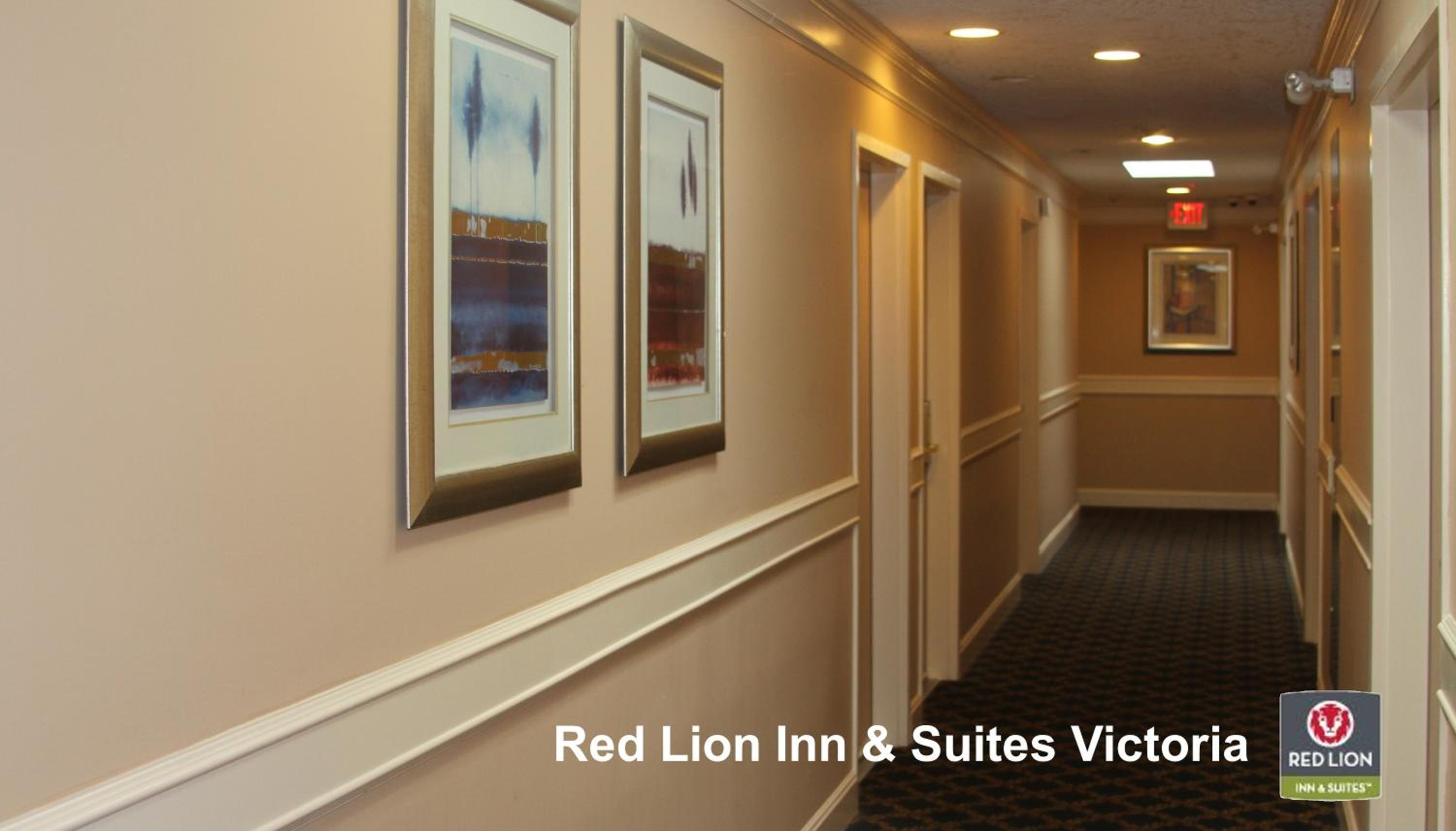 One-Bedroom Suite - Photo 6