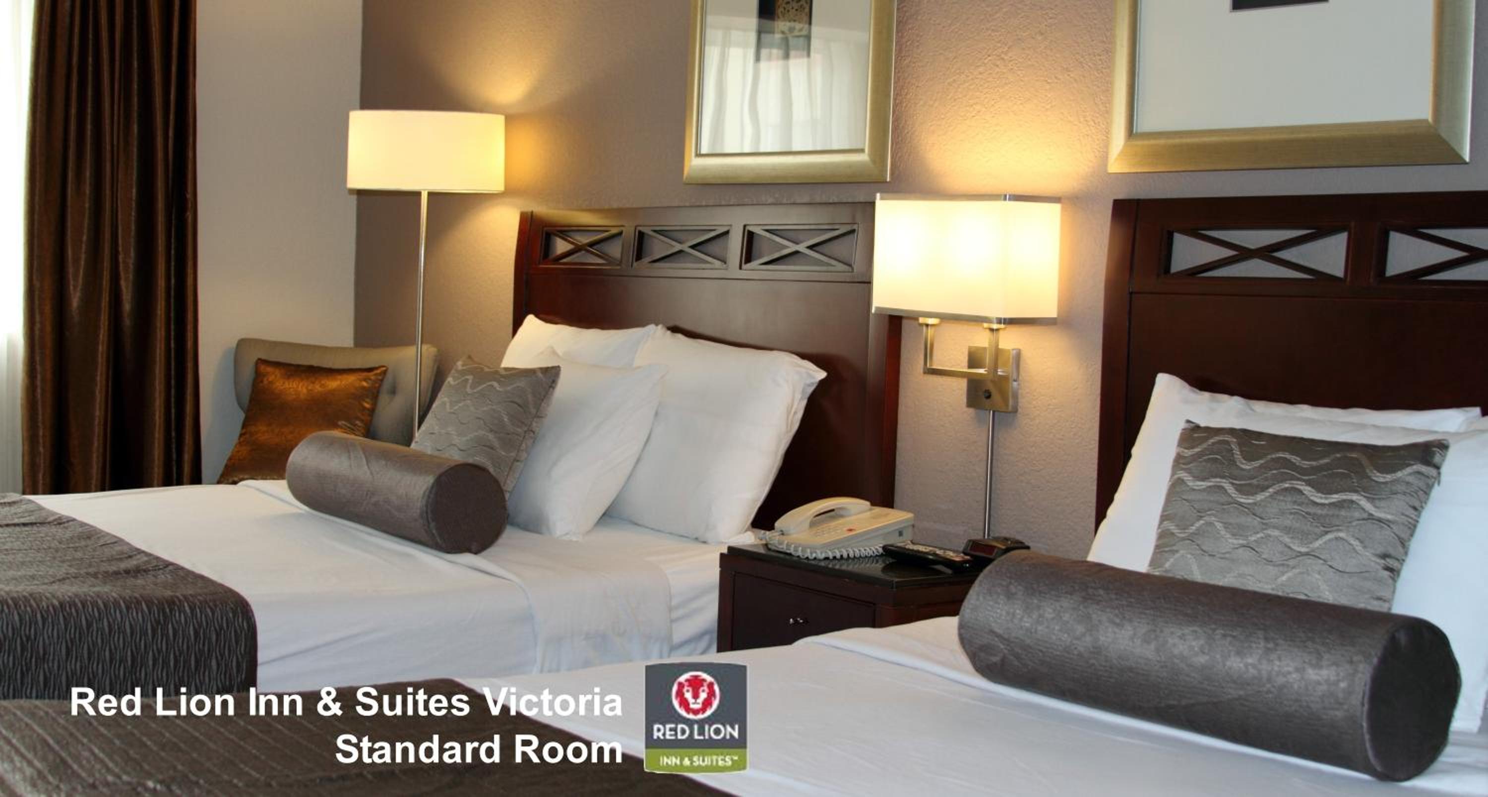 Standard  Room - Photo 2