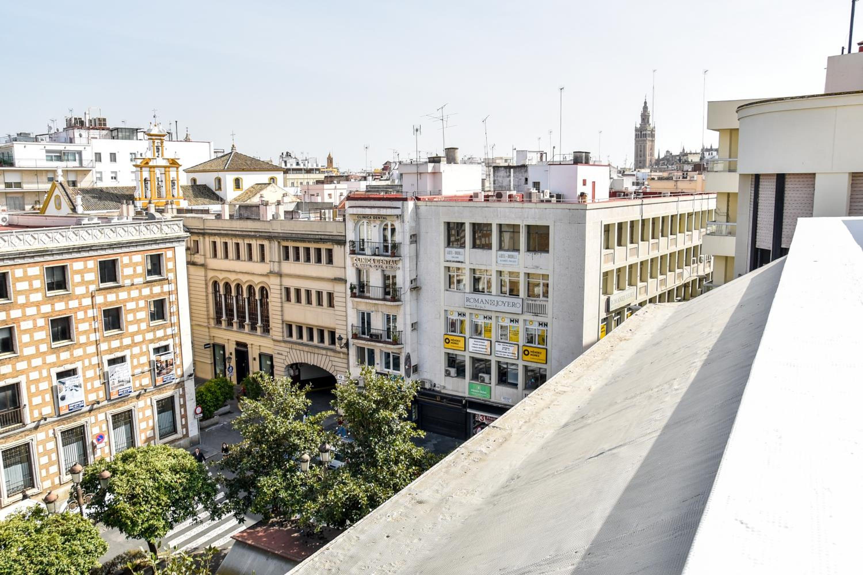 Apartment with Terrace - Photo 11