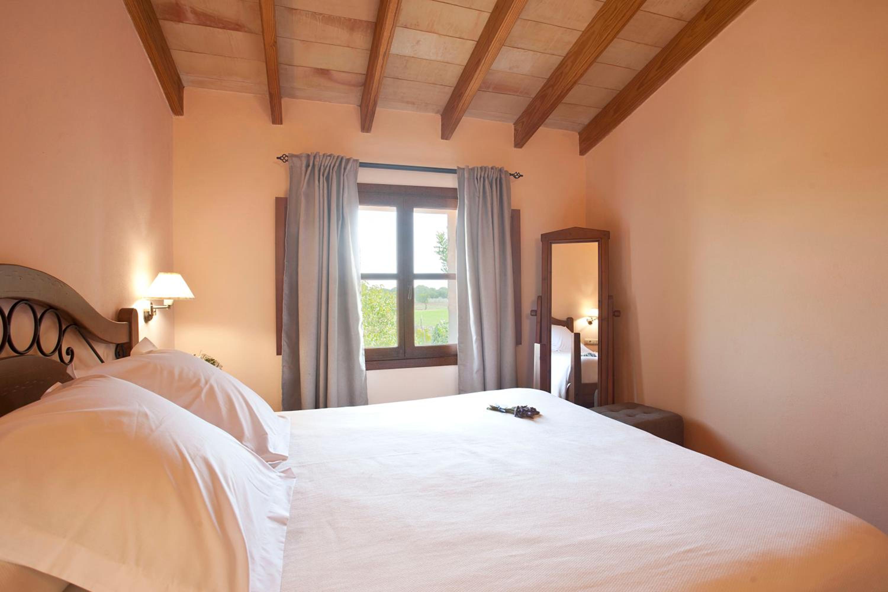 Suite - Photo 6