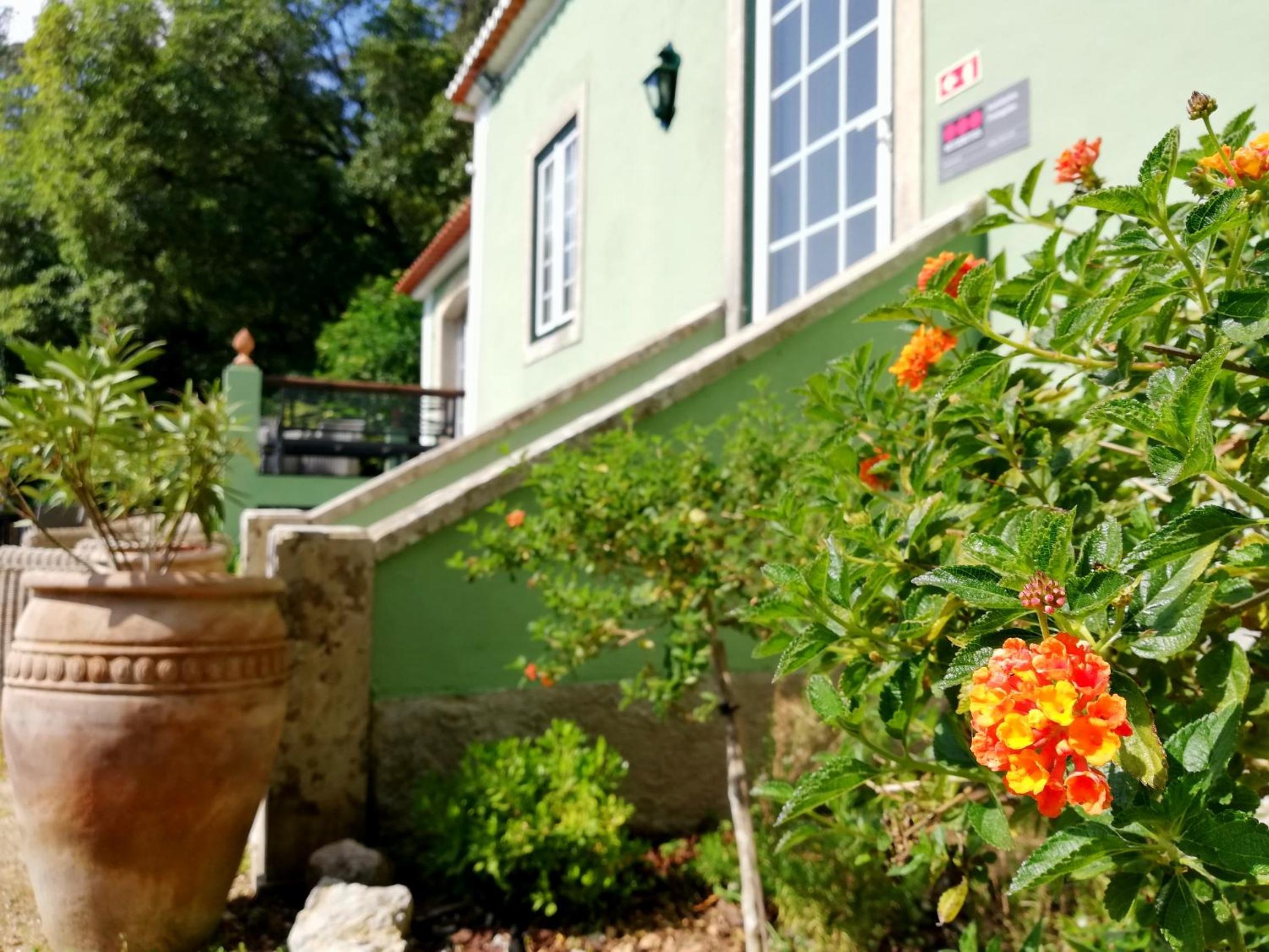 Villa photo 2