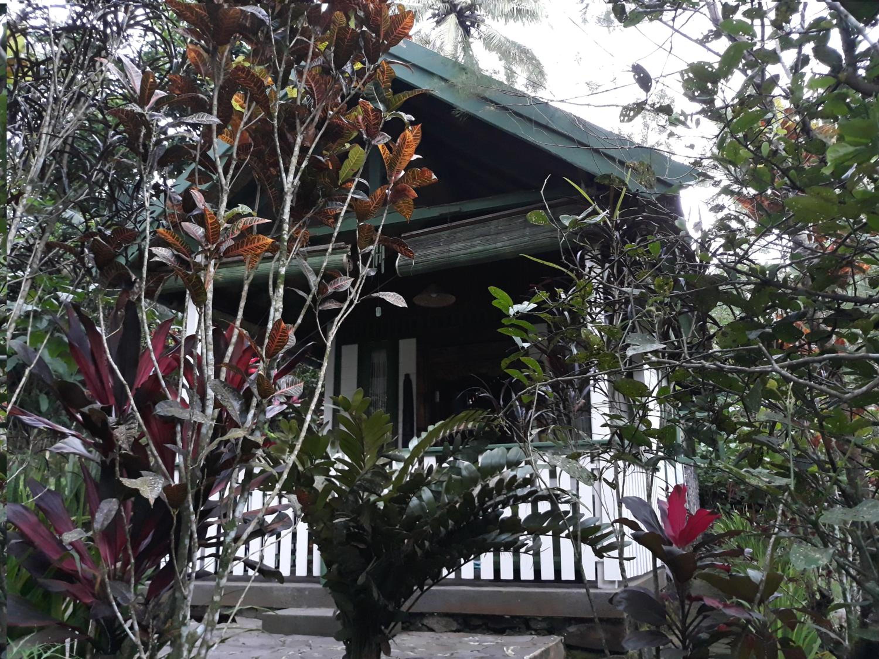 Bungalow - Photo 16