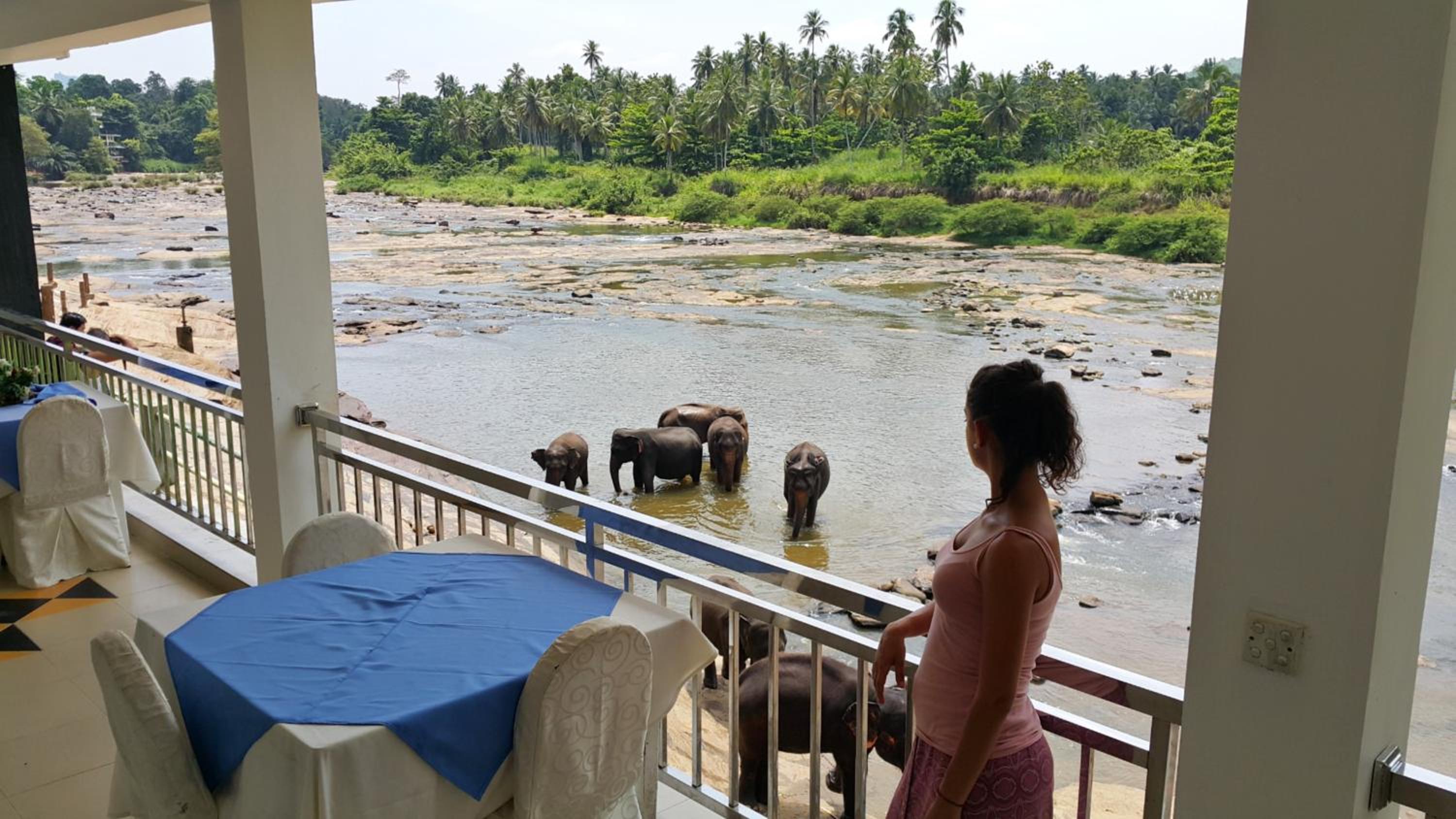 Deluxe Double or Twin Room with River View photo 2