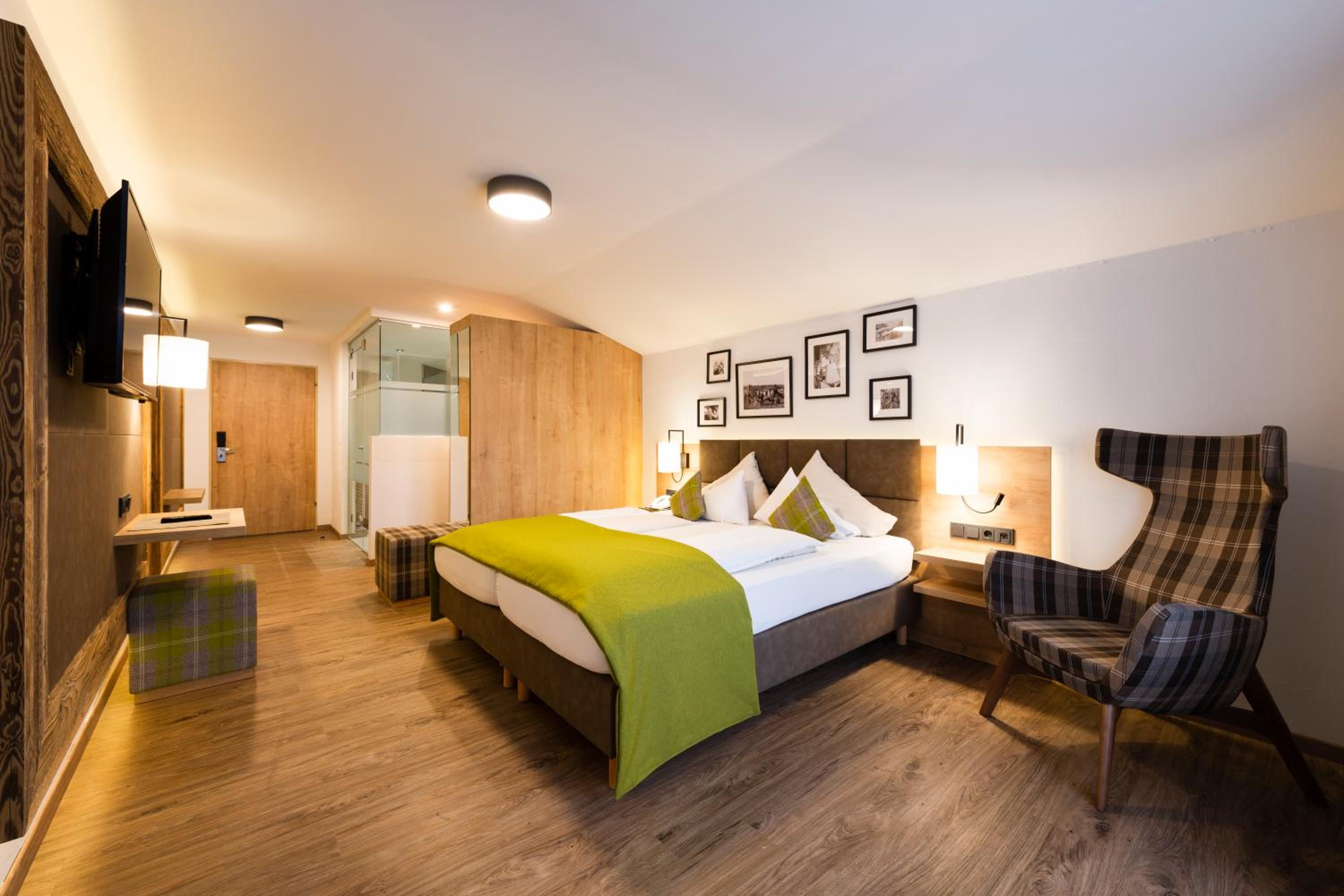 Double Room Alpine with Balcony and Mountain View photo 3