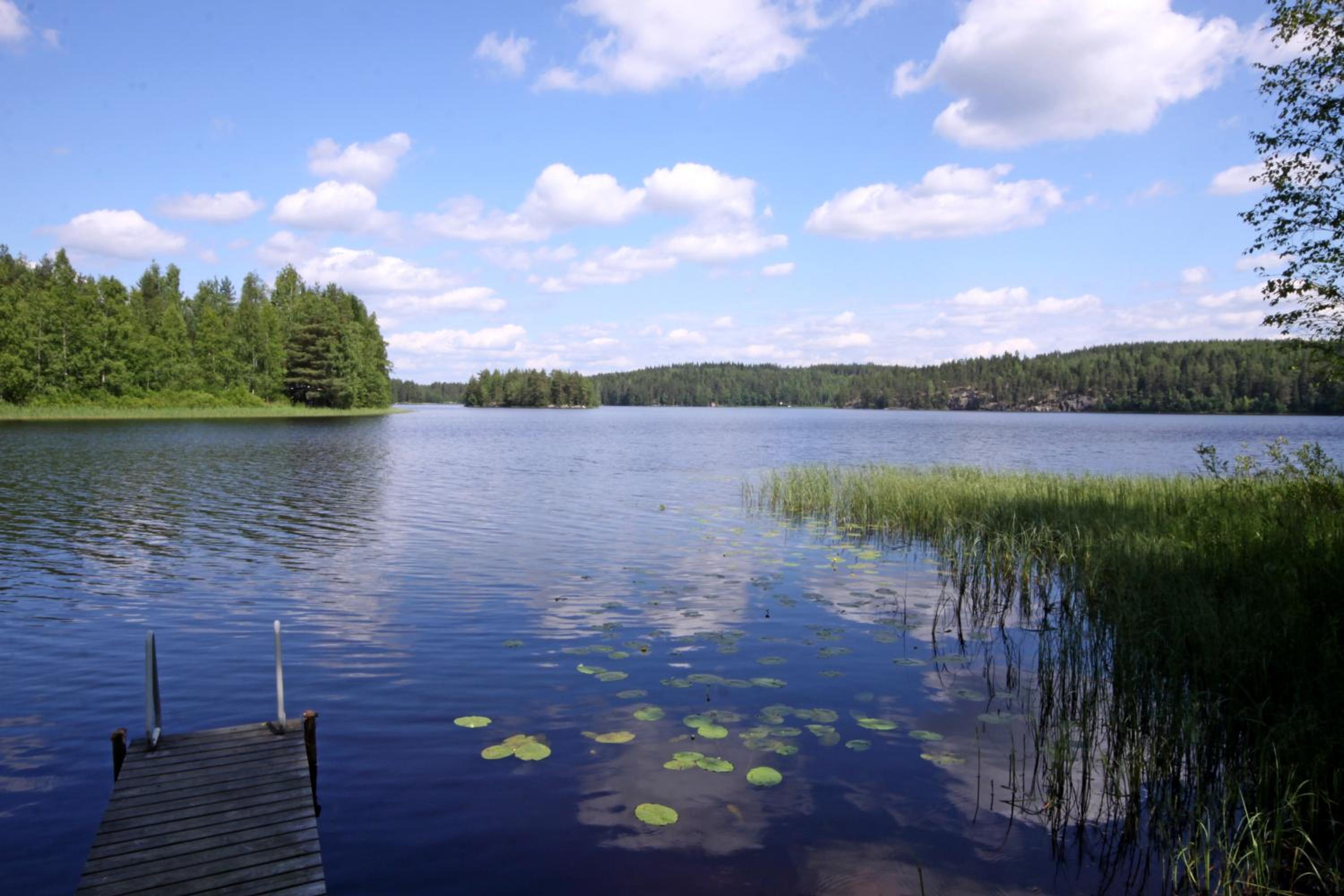 One-Bedroom Cottage with Lake View  - Photo 3