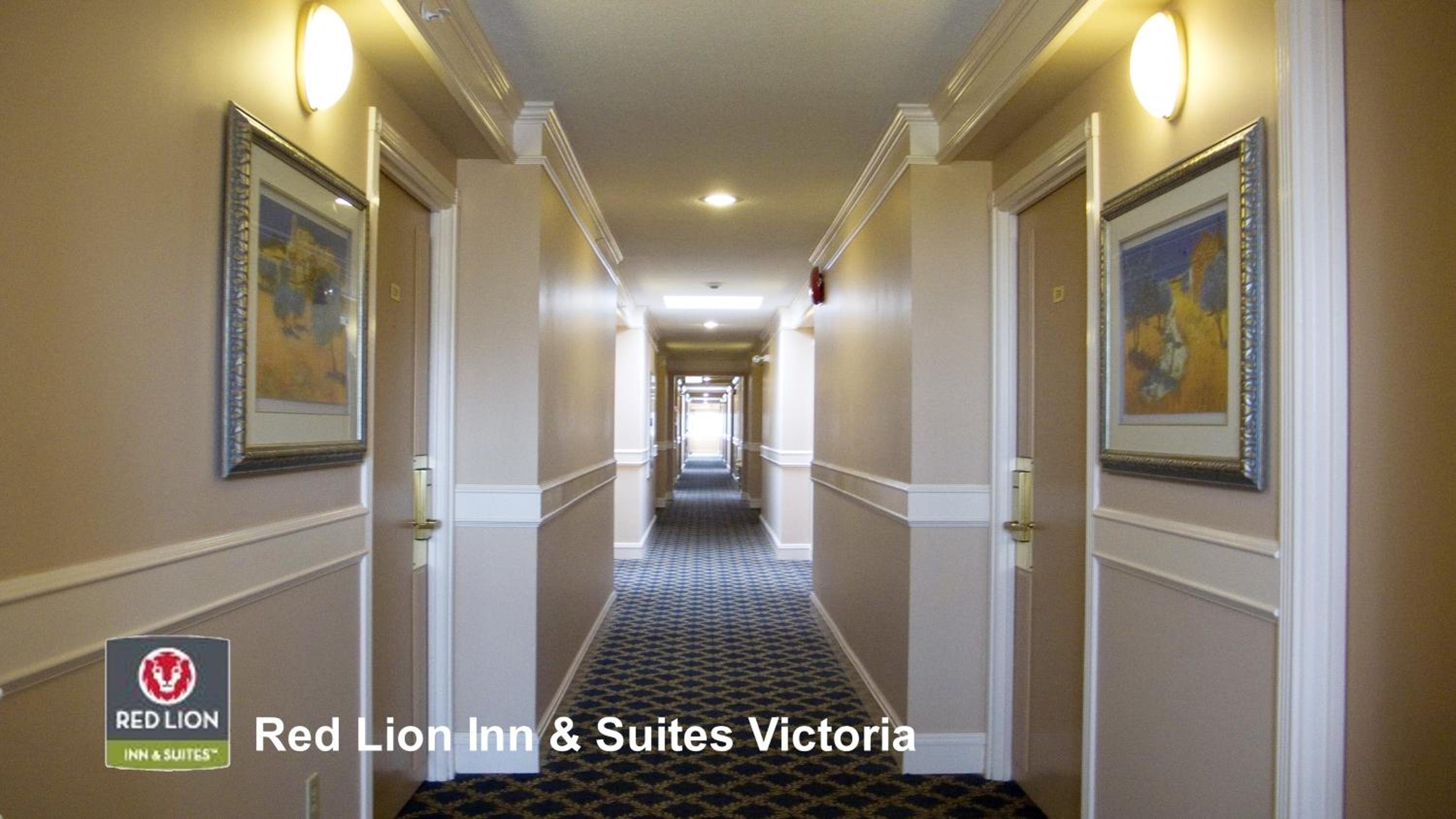 Standard  Room - Photo 4