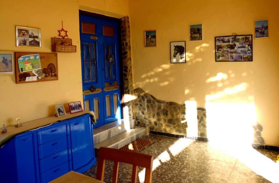 Four-Bedroom House photo 2