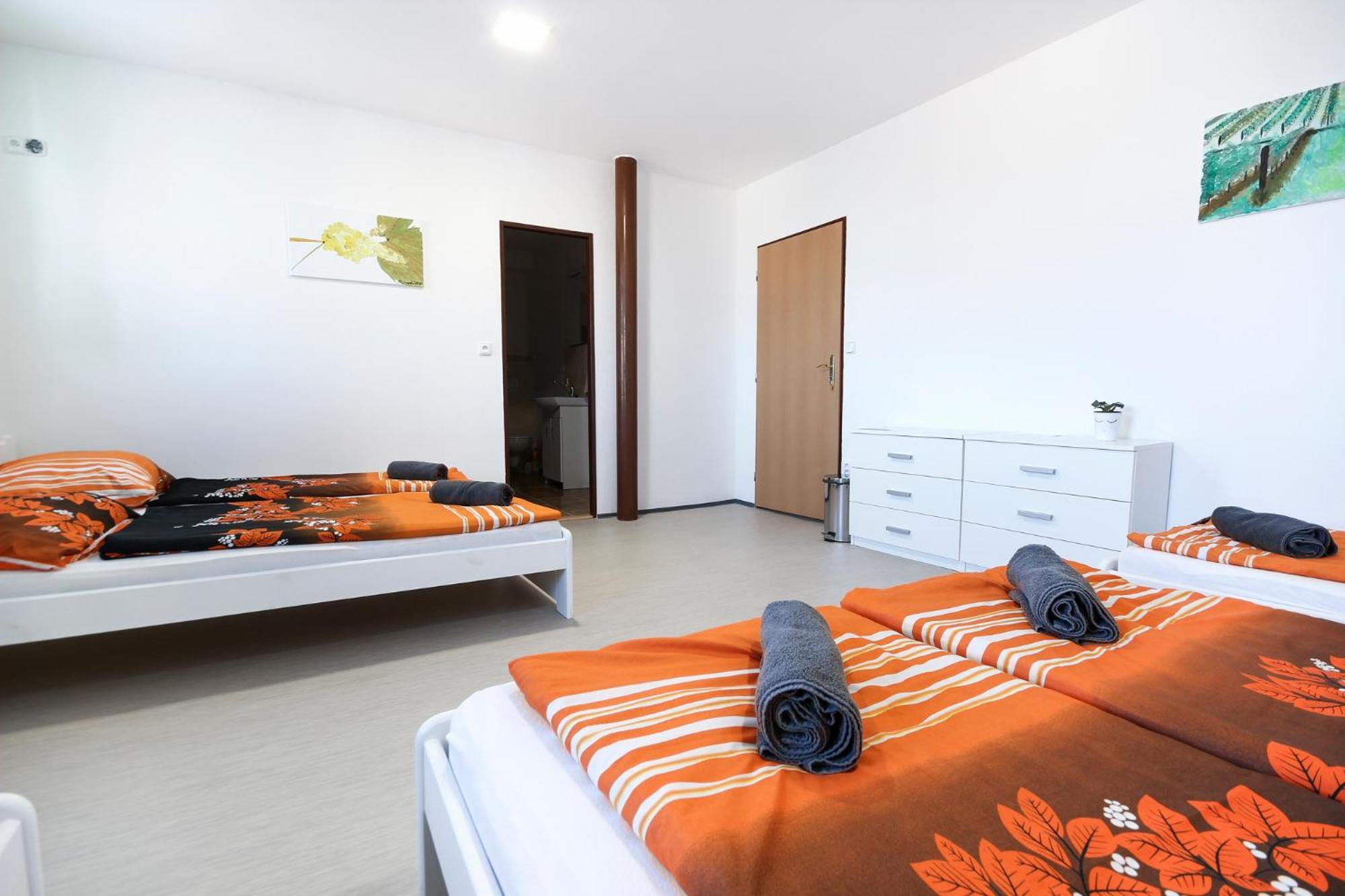6-Bed Mixed Dormitory Room photo 3