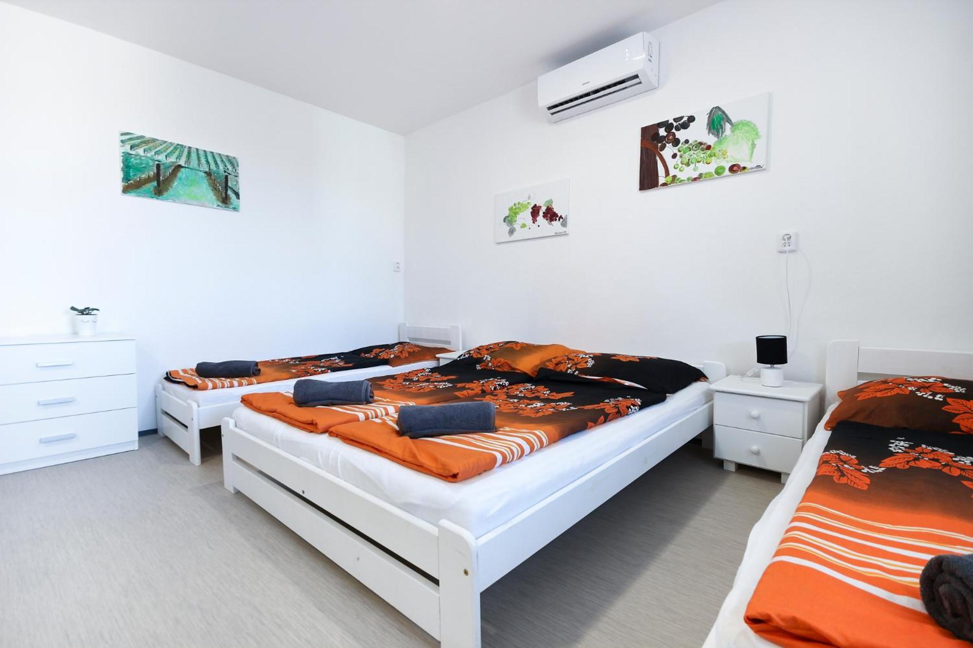 6-Bed Mixed Dormitory Room photo 1