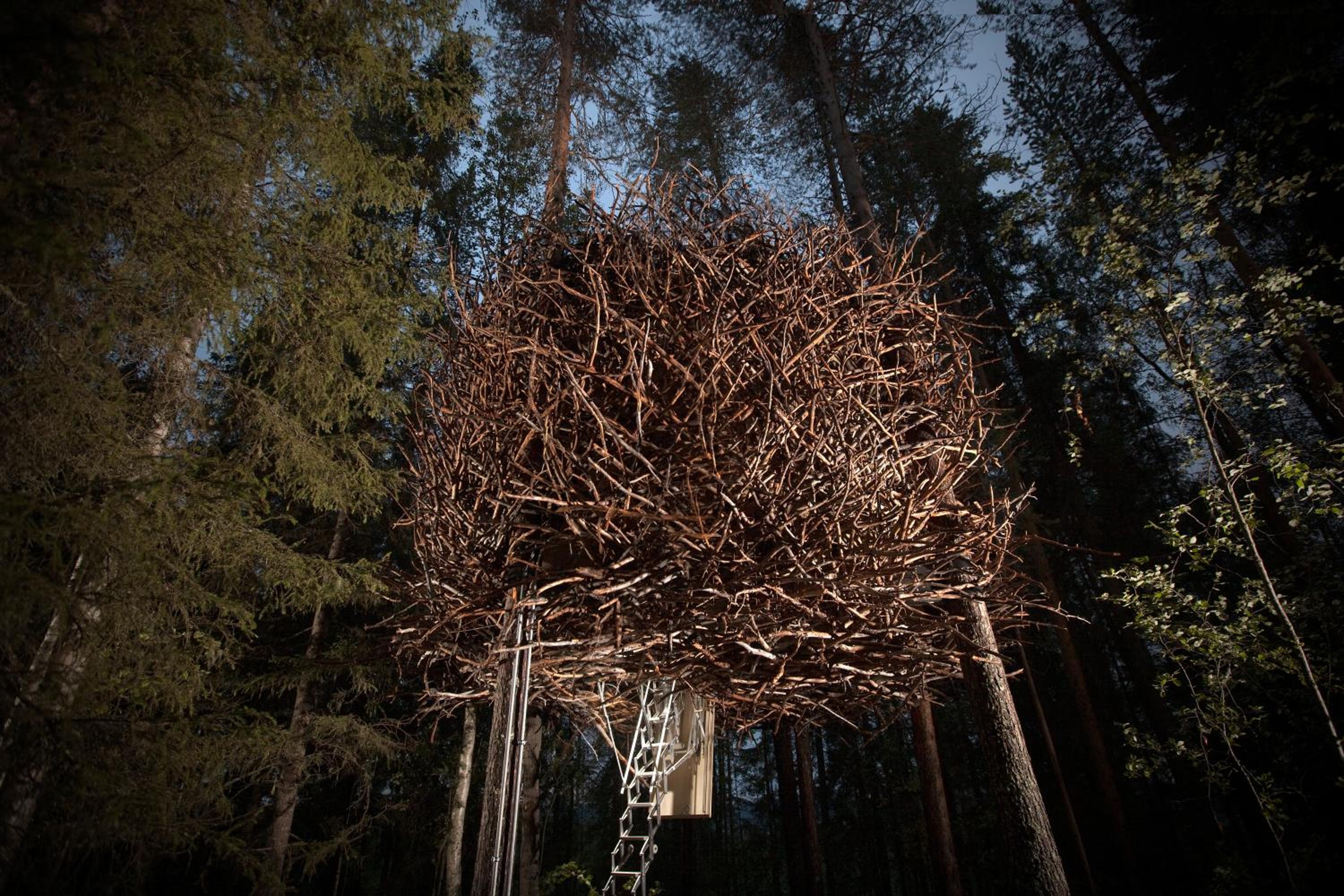 The Bird's Nest - Photo 7