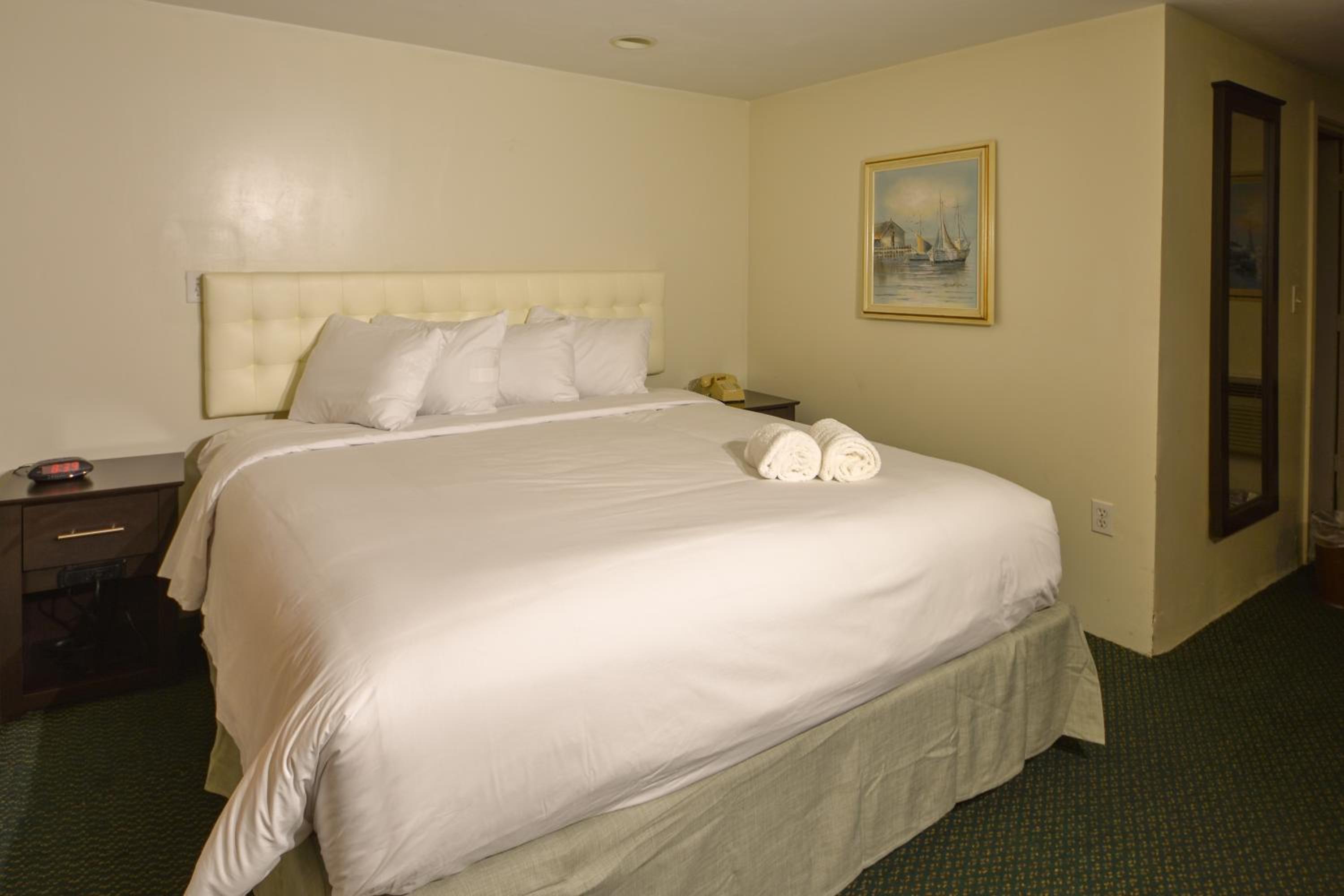 King Room - Disability Access photo 3