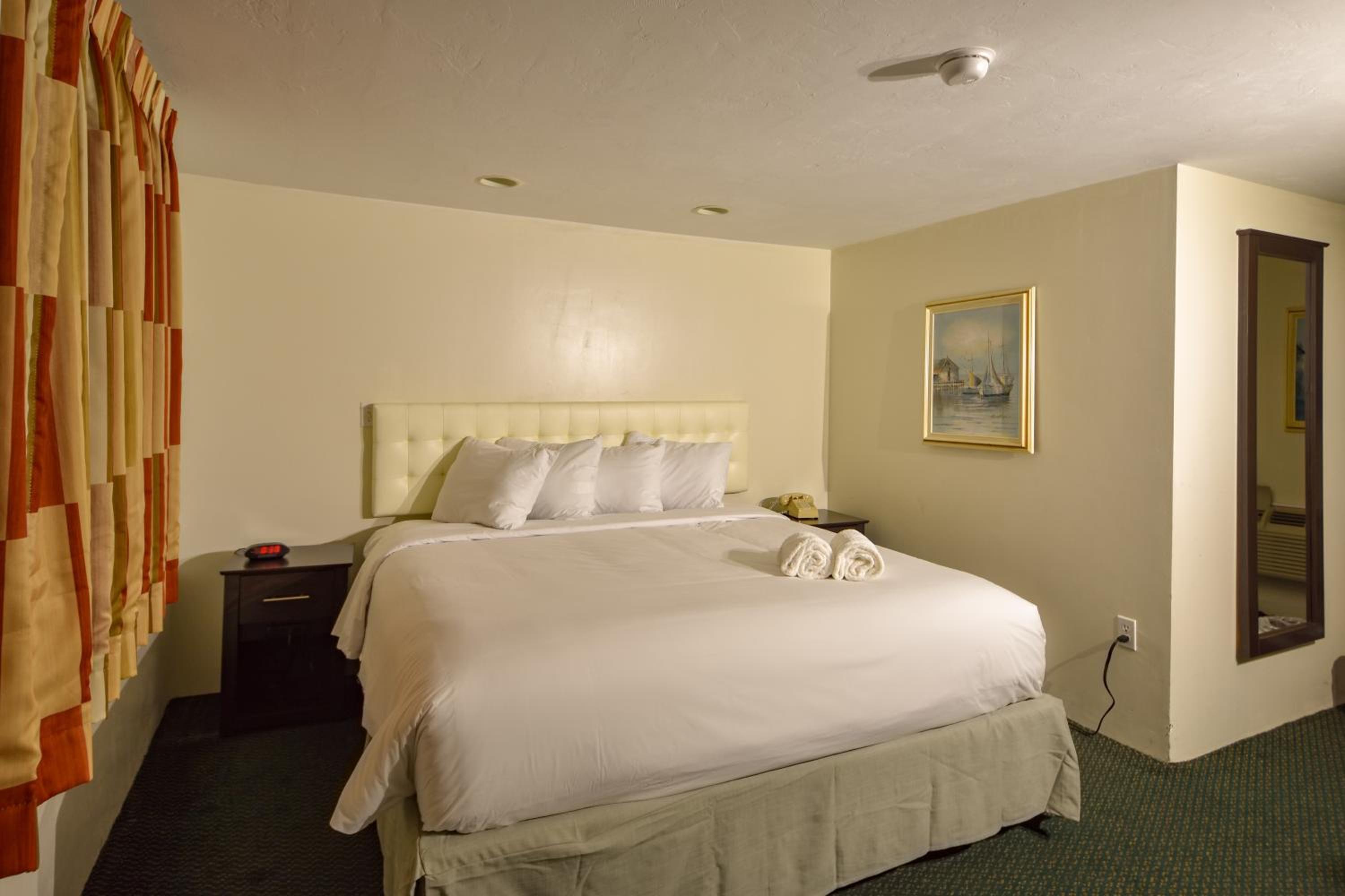 King Room - Disability Access photo 1