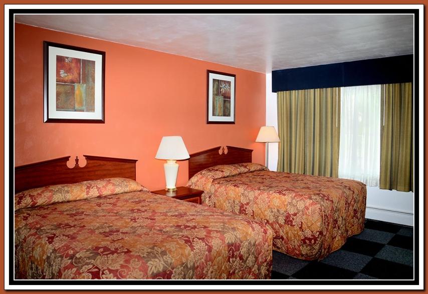 Standard Queen Room photo 2