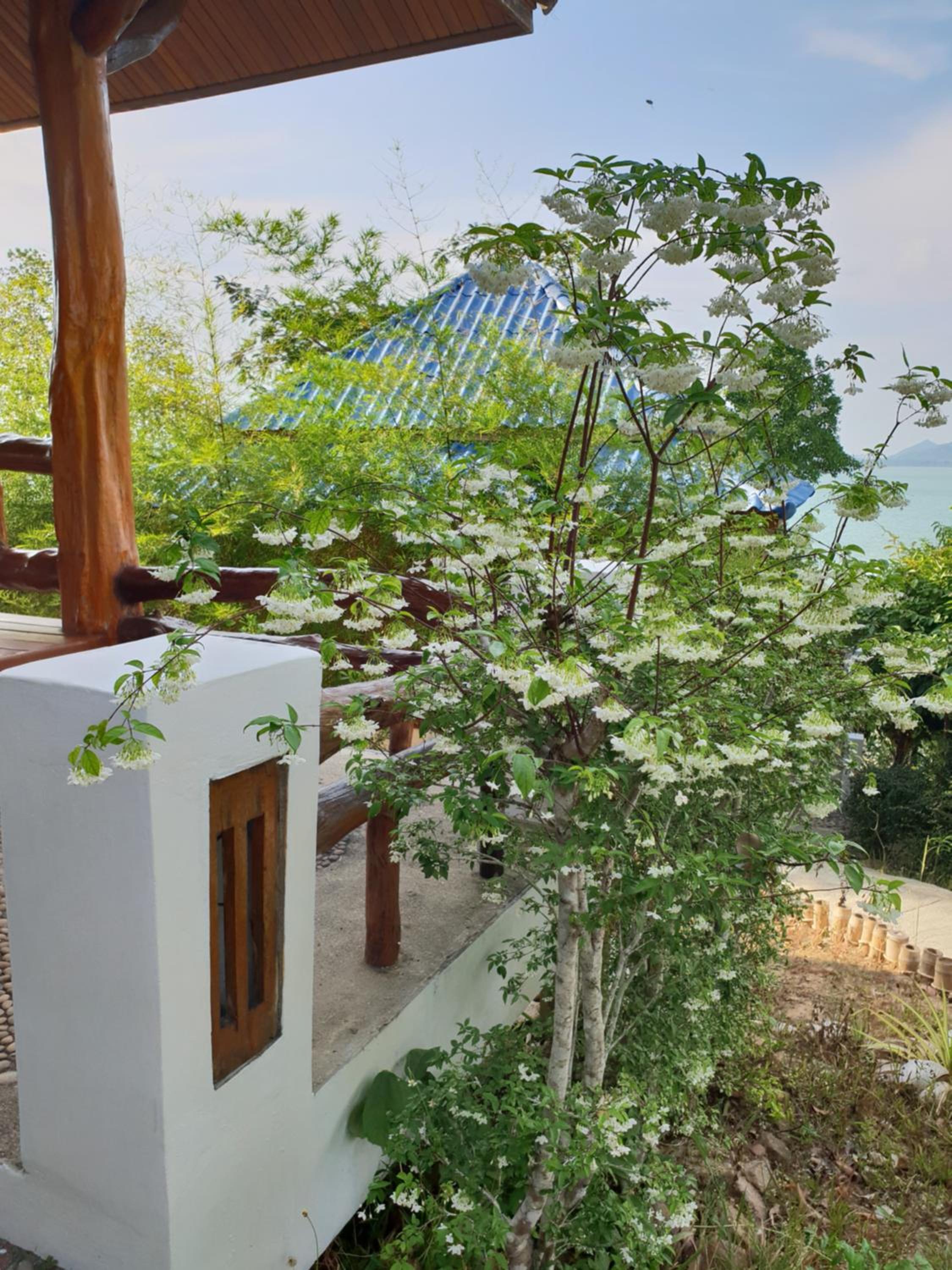 Bungalow with Sea View - Photo 18