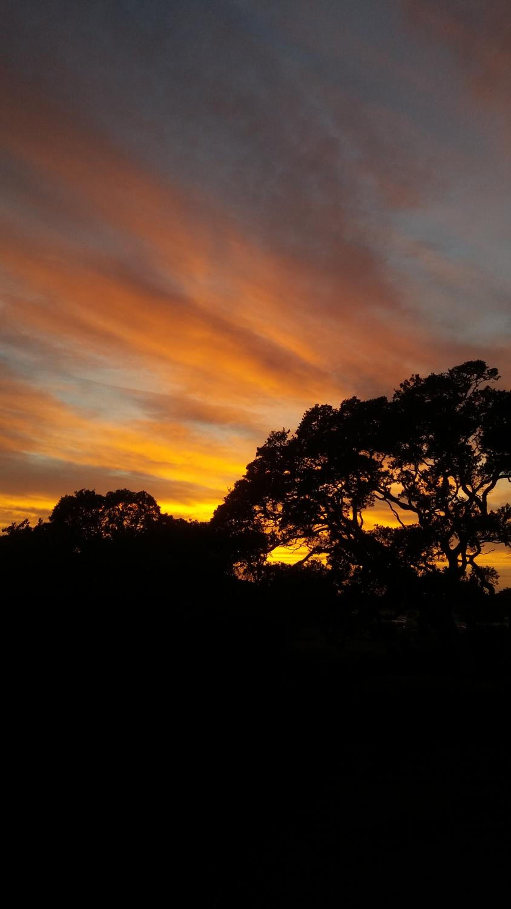 Studio Apartment - Photo 10