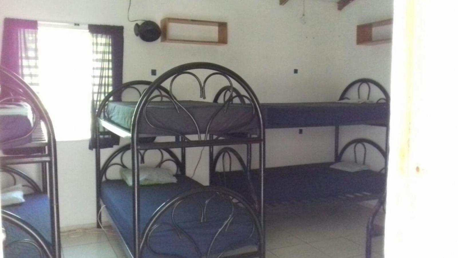 Bed in 8-Bed Mixed Dormitory Room photo 2