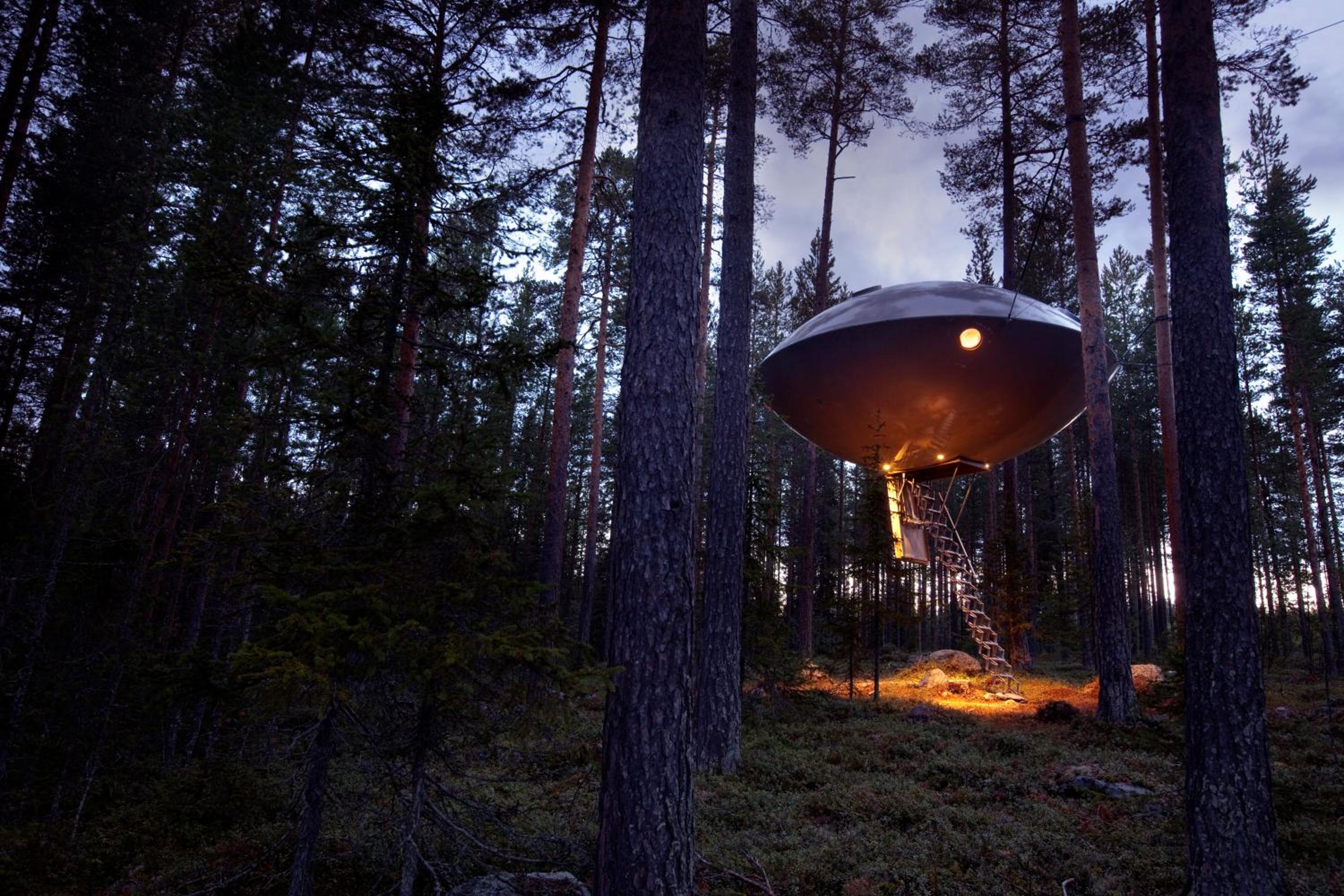 The Ufo - Photo 3