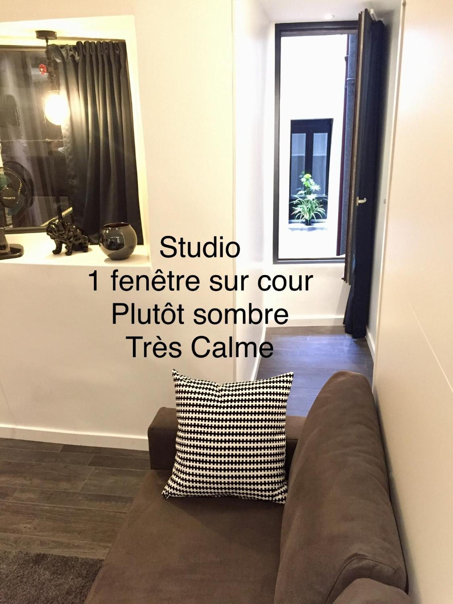 Deluxe Studio photo 3