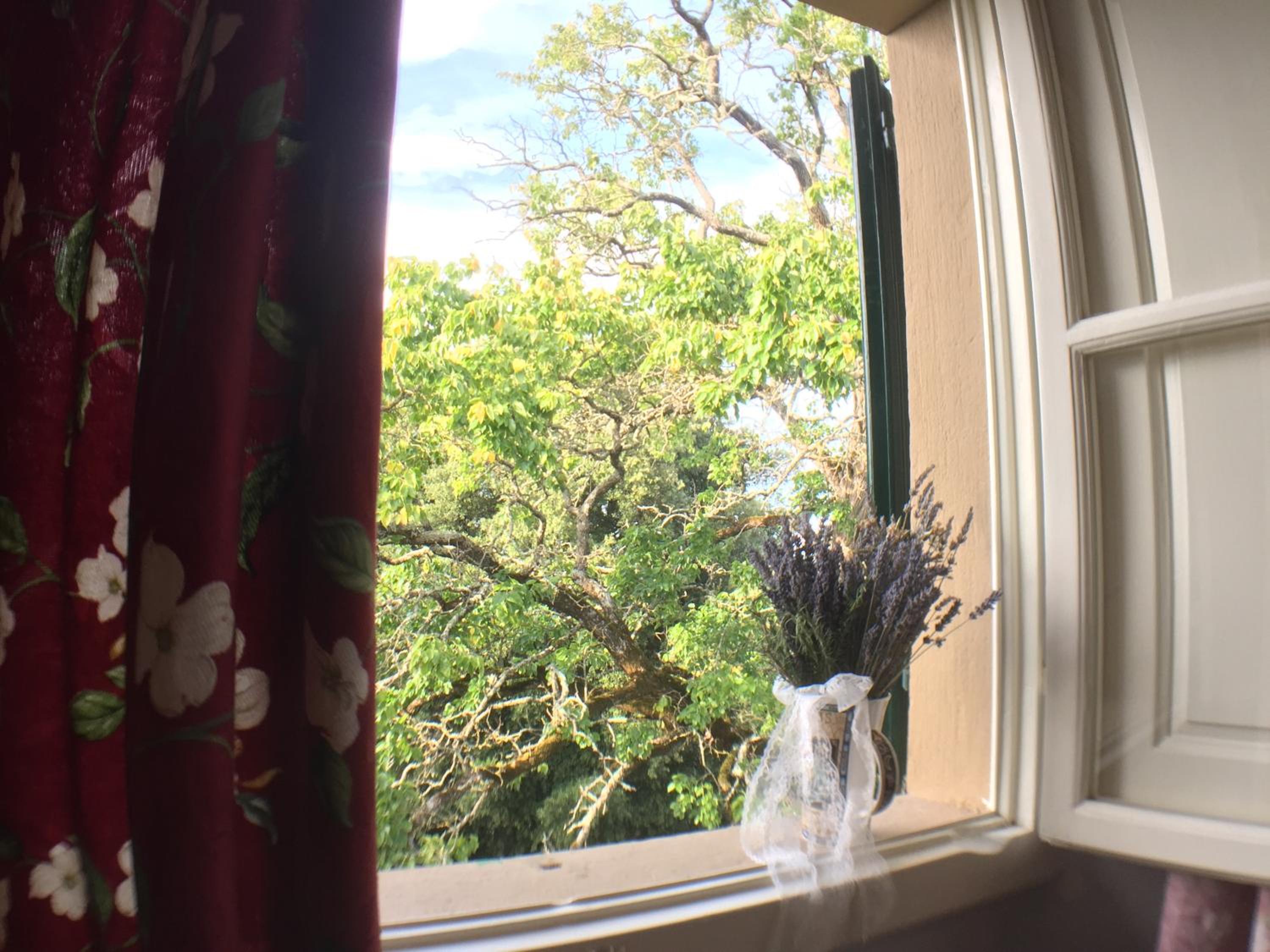 Double Room with Private External Bathroom photo 2