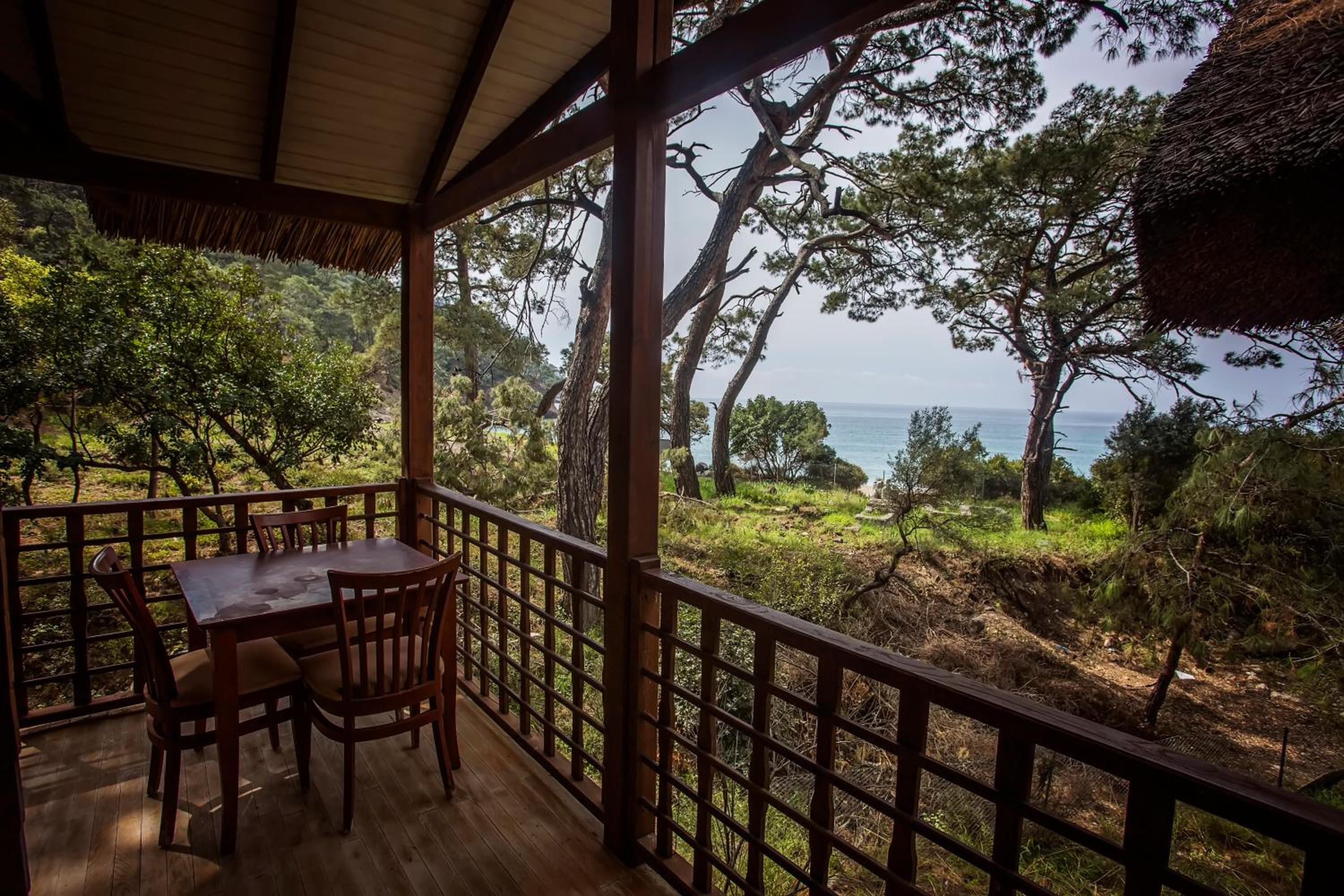 Pine Houses with Sea View photo 2