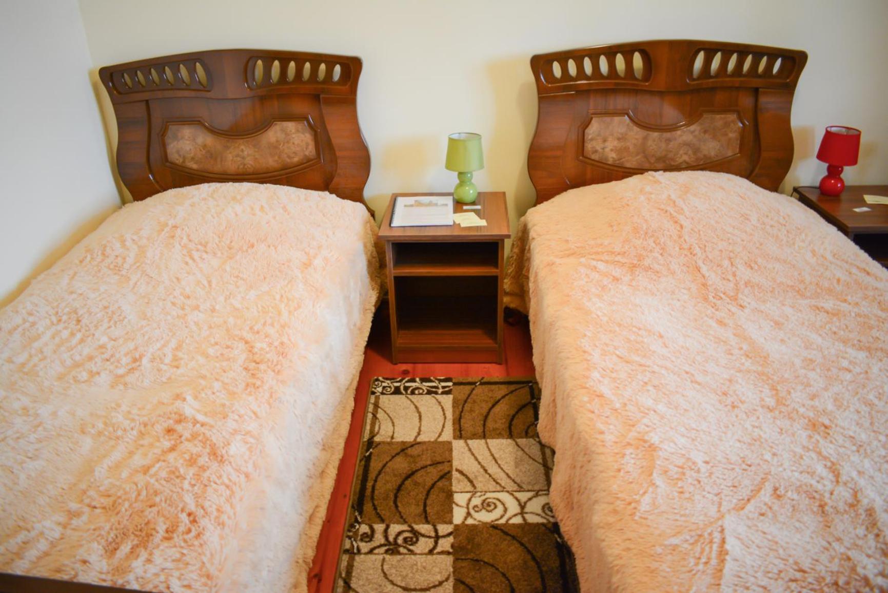 Twin Room with Mountain View photo 1