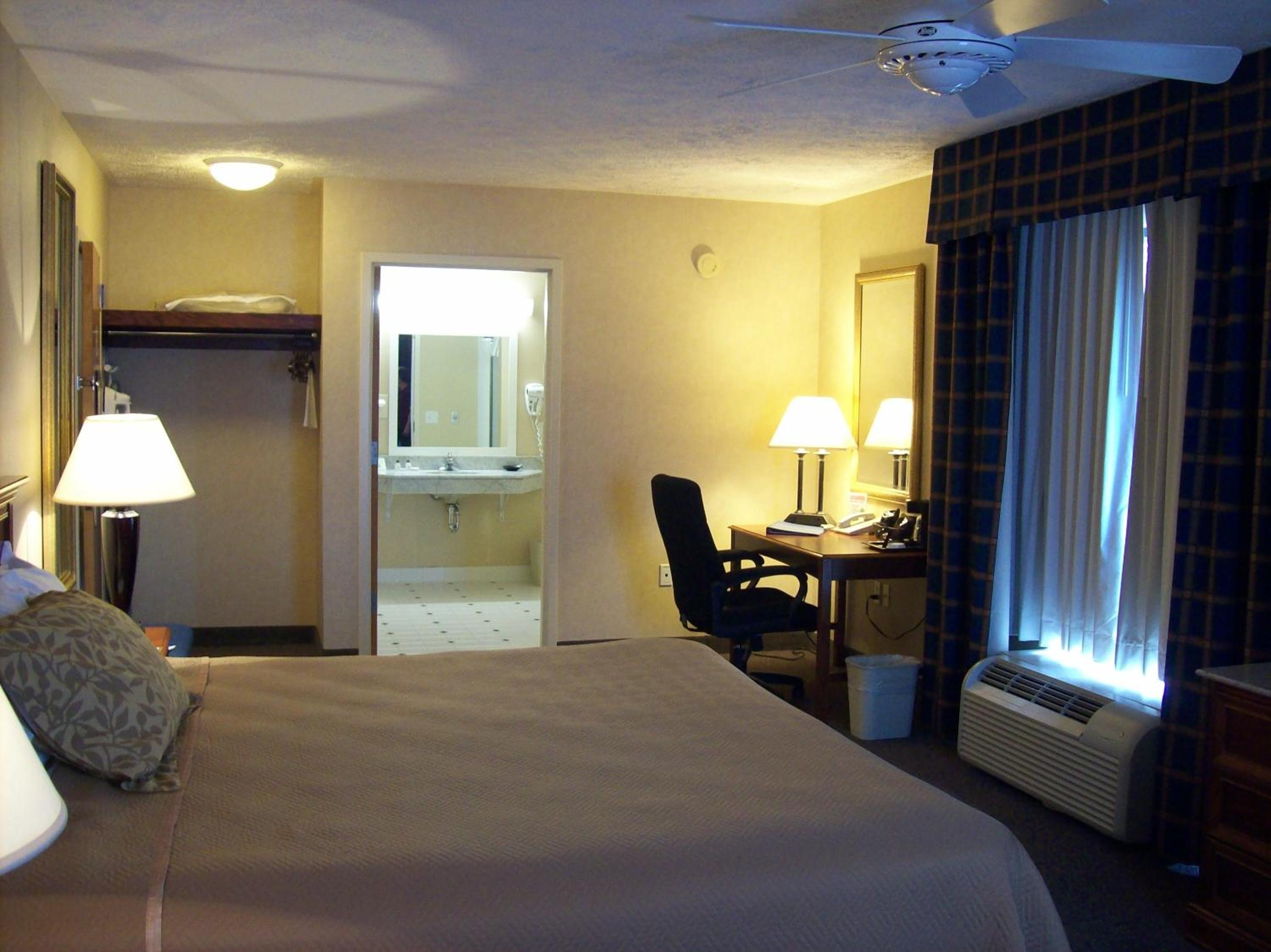 King Room - Non-Smoking - Photo 6