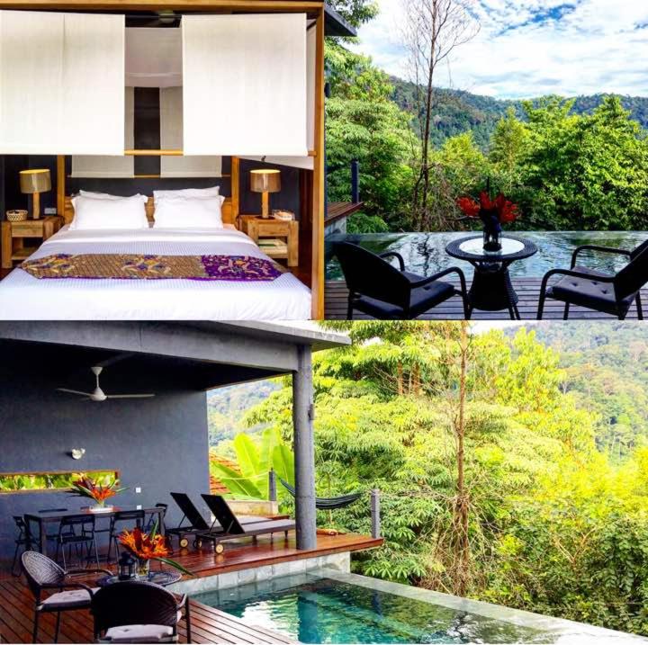 King Suite with Pool View photo 3